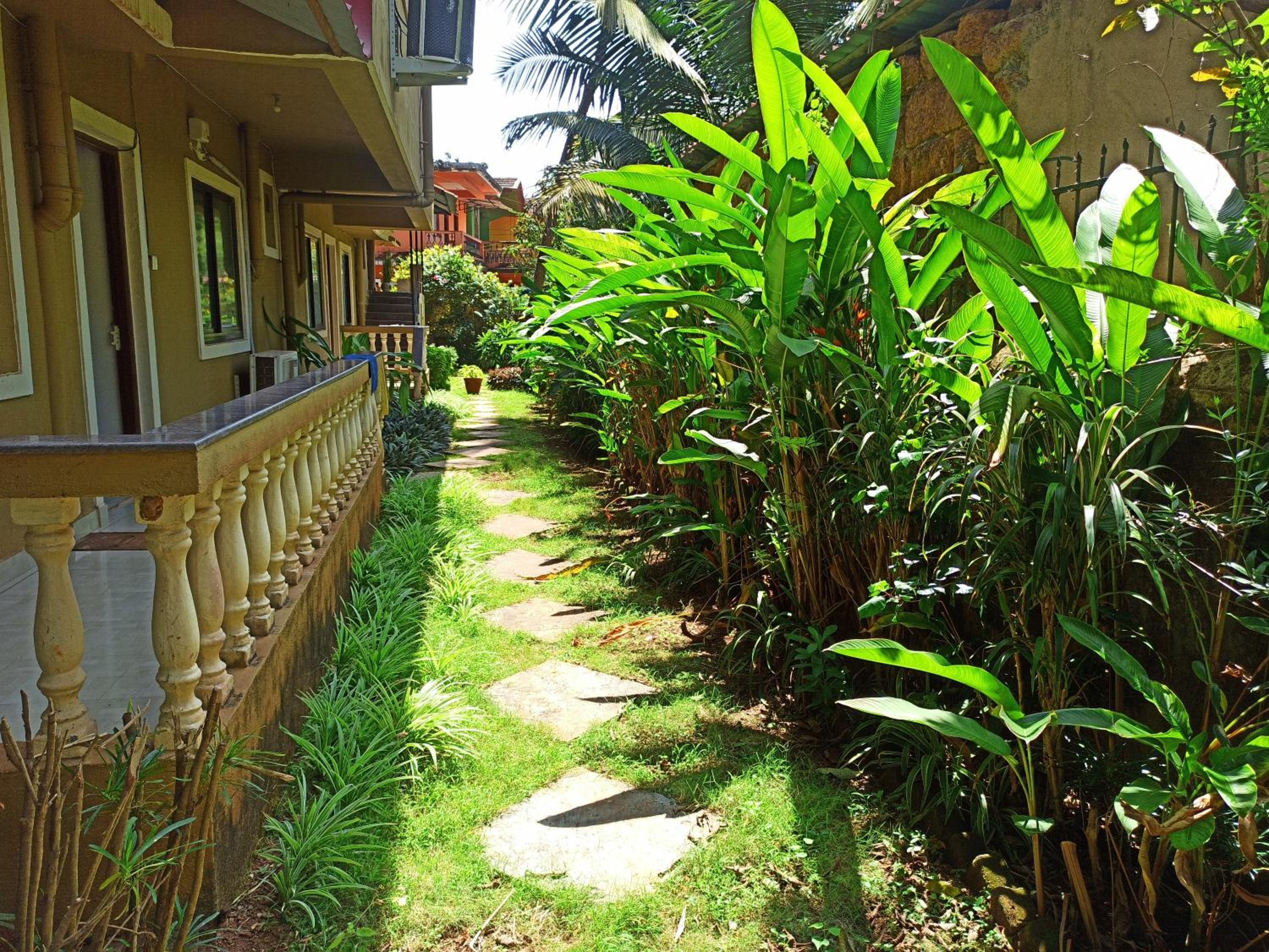TGF Dream Guest House