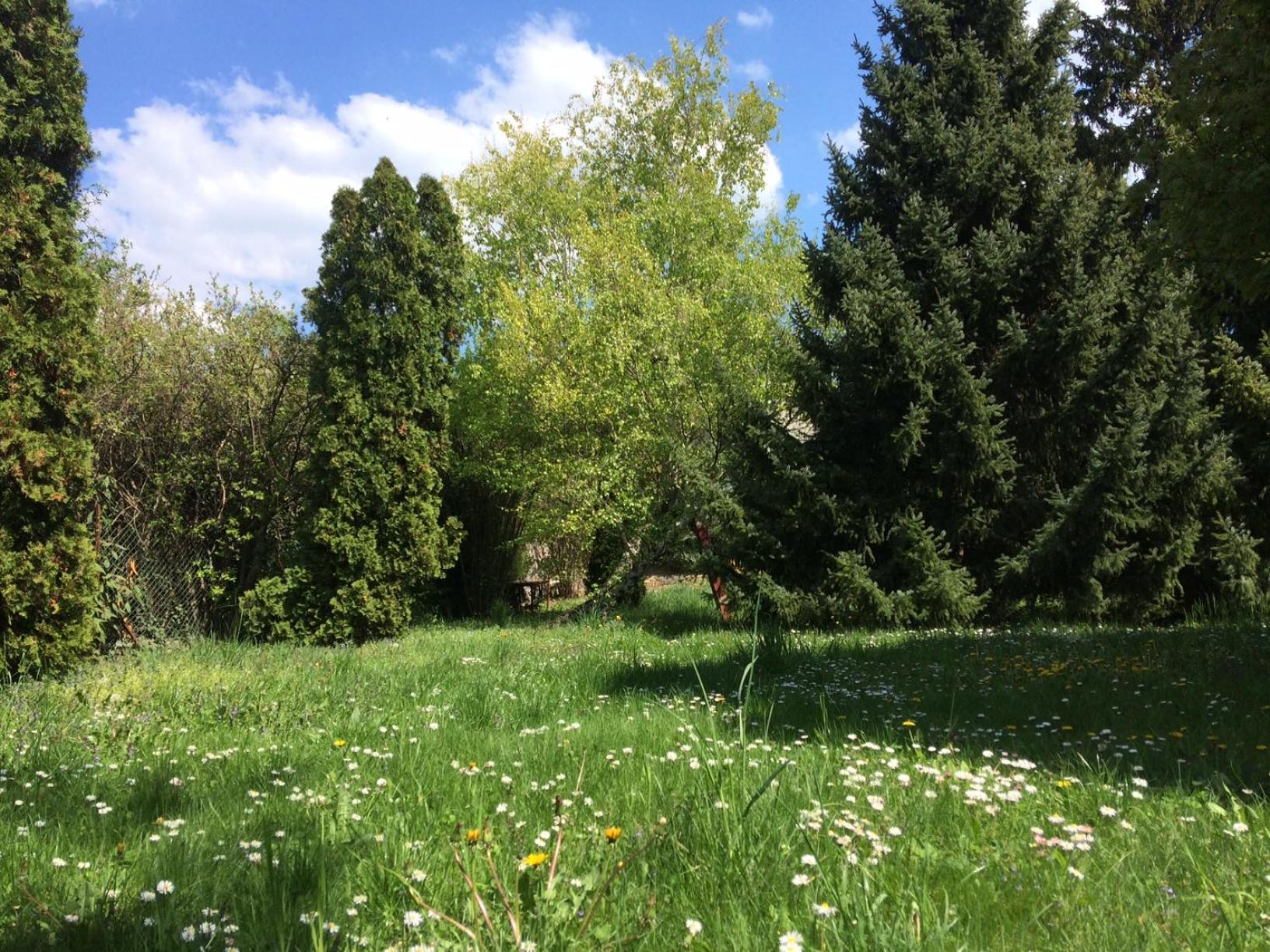 Photo 44
