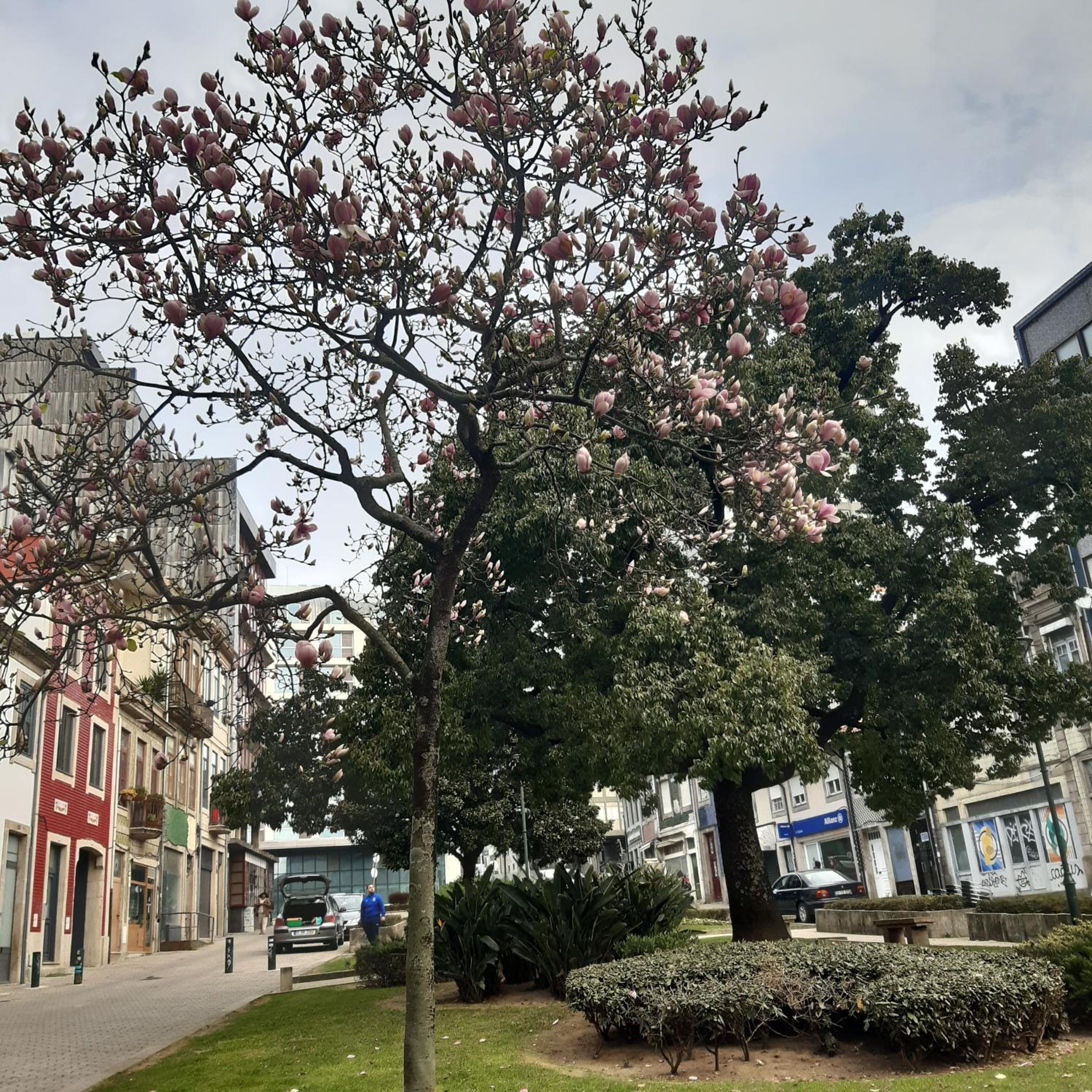 OTF- Porto Centro view 3