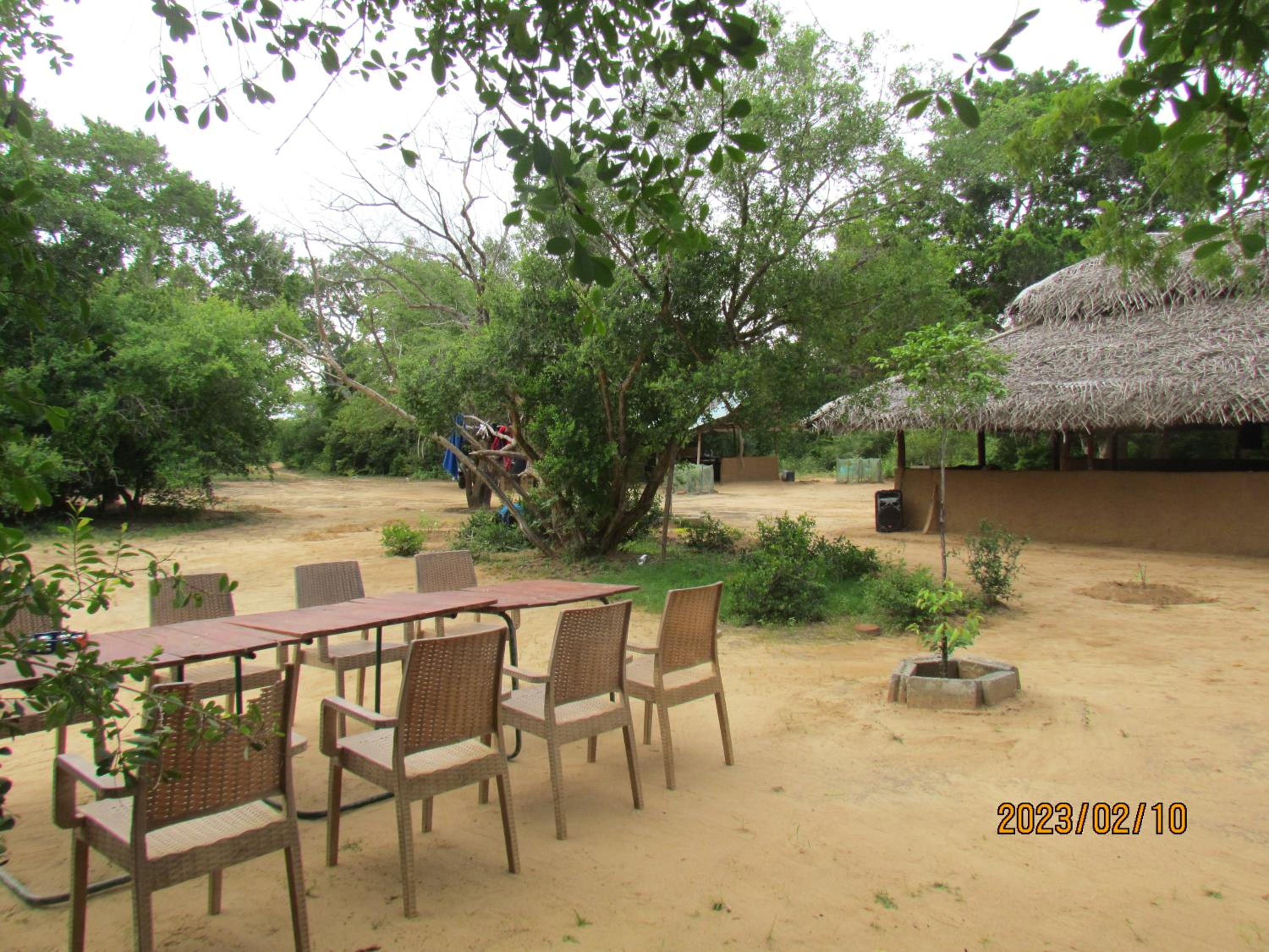 Photo 45