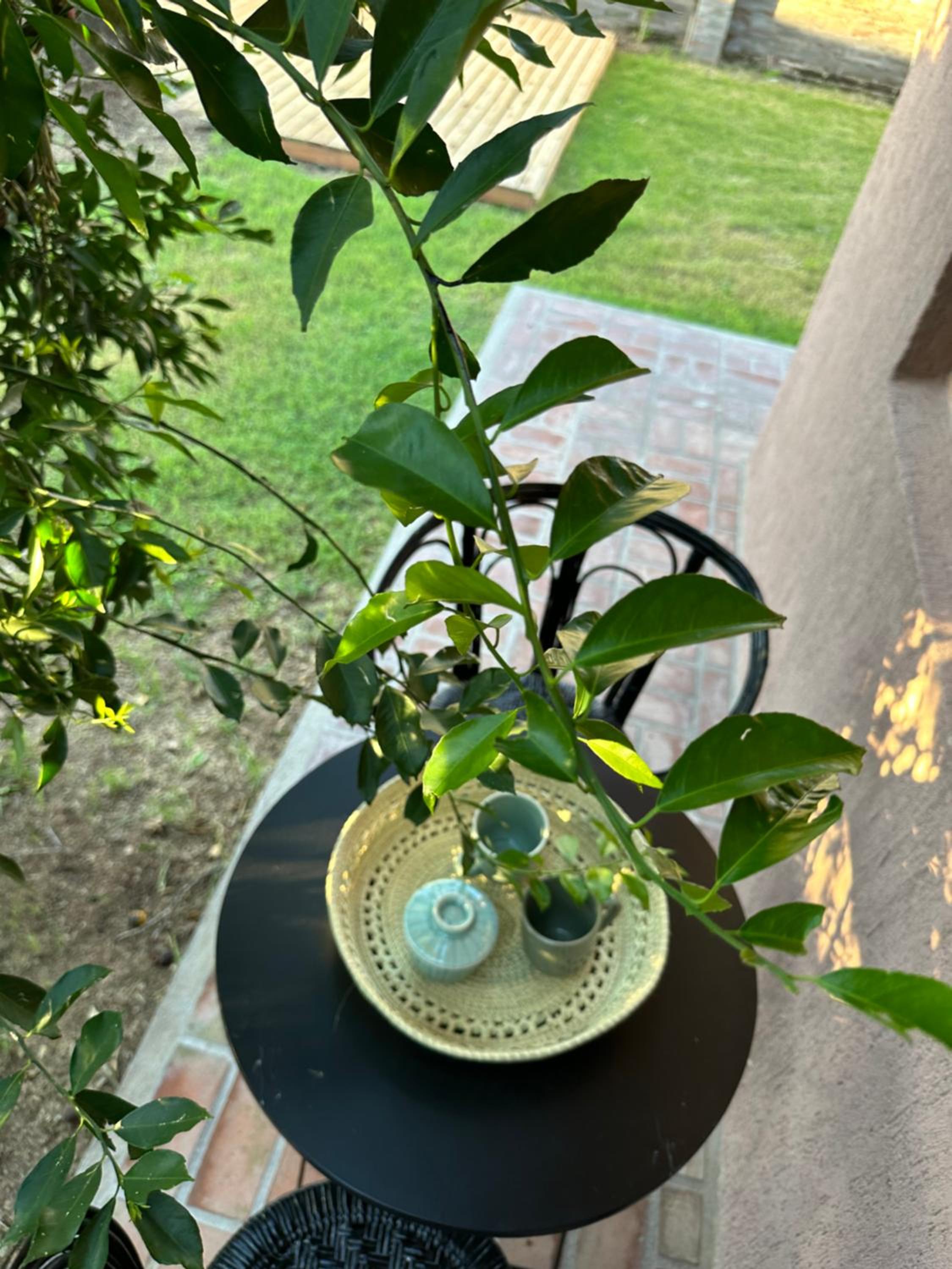 Tanah Host - Casa de Huespedes