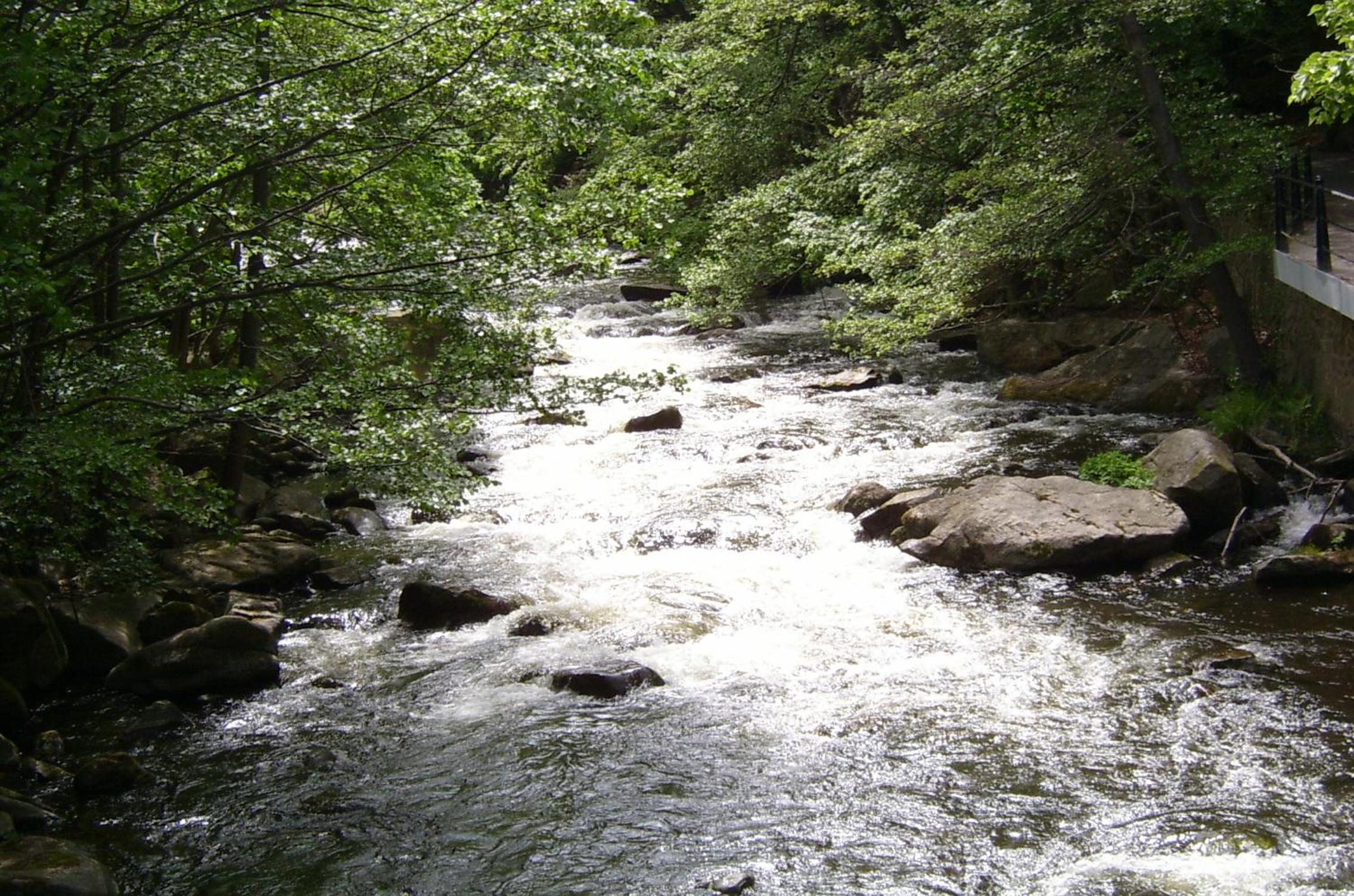 Photo 28