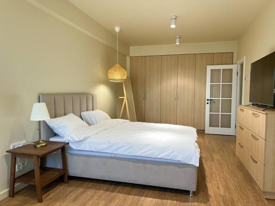 2 bedroom on Ismail corner Stefan cel Mare, new apartment, Chisinau center! view 4