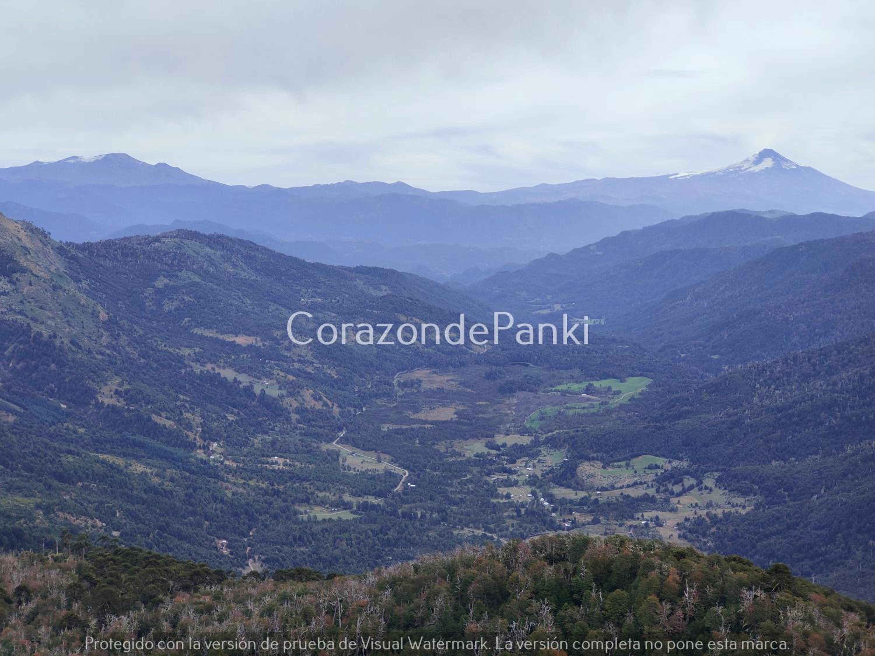 Corazon de Panki