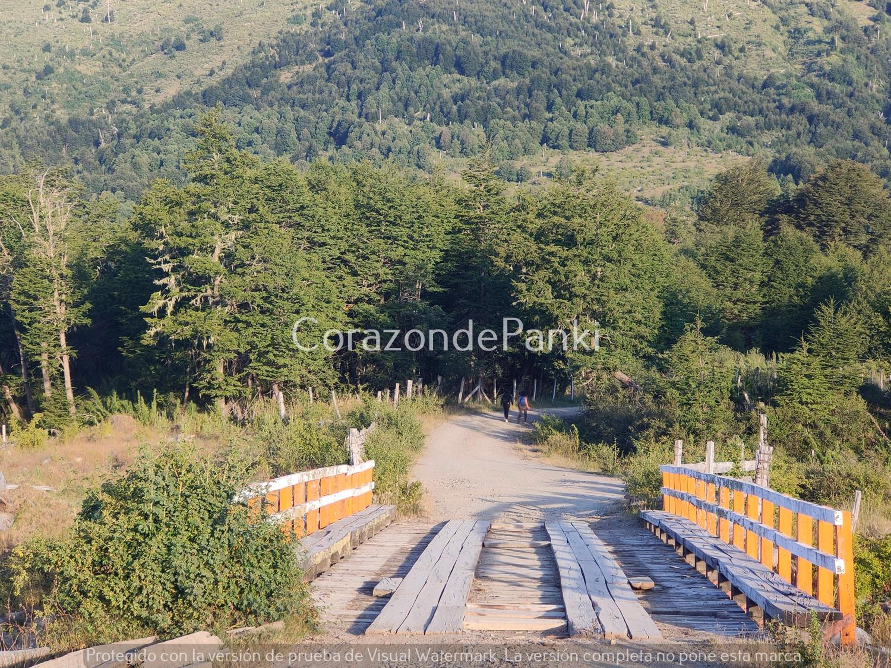Corazon de Panki