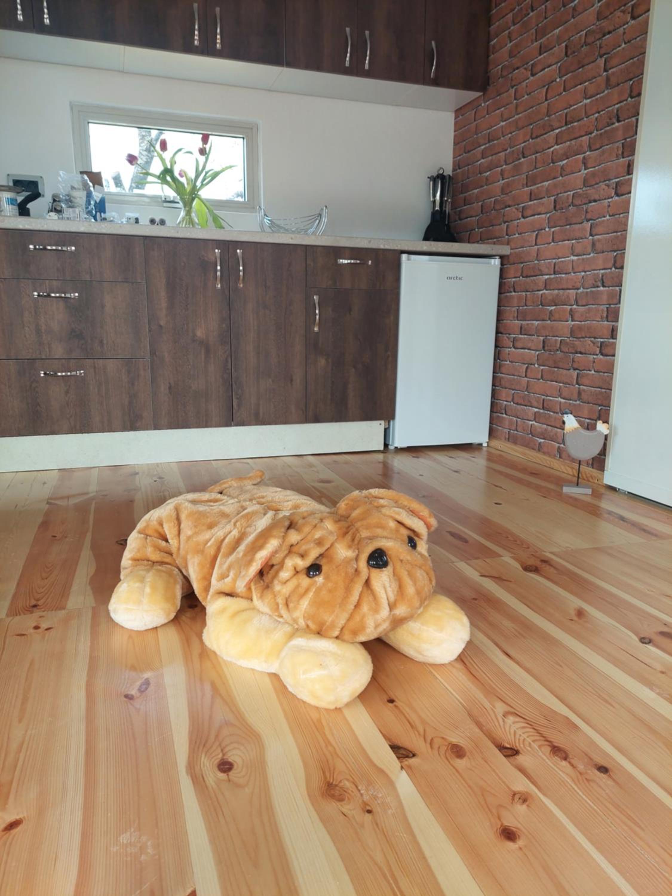 Photo 19