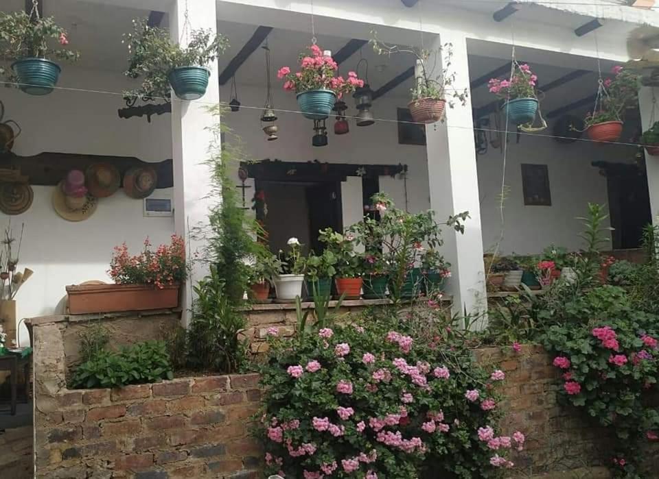 Hospedaje La Lomita