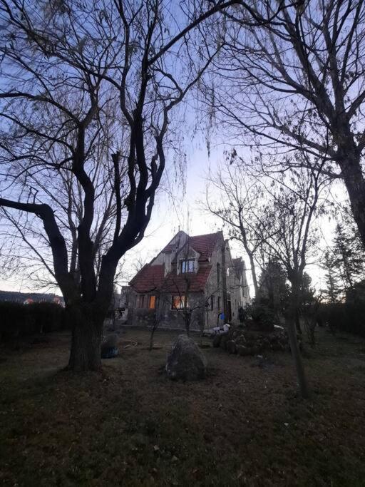 Photo 28