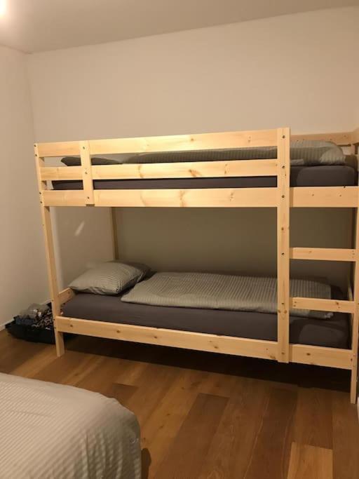 Flims 2 Room Apartment in Center Ski in-out TrulloVista