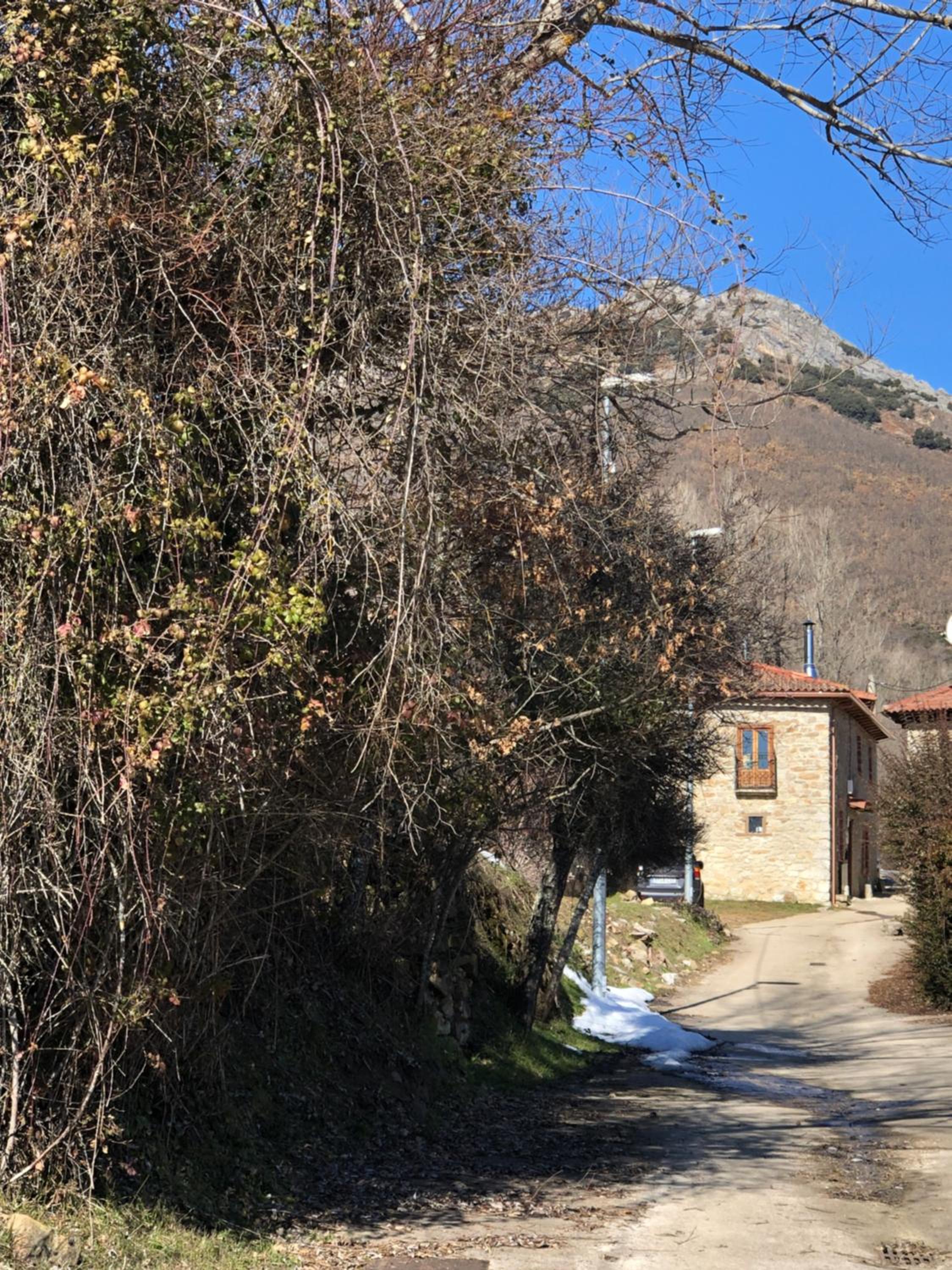 Genciana, Casa Rural con encanto en La Montaña Leonesa view 2