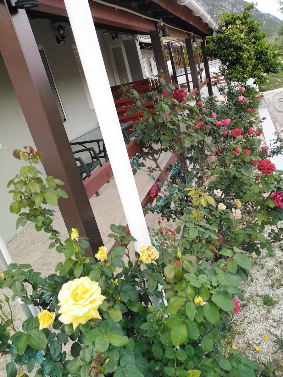 Apartment with Private Pool for Rent in Tzanata Kefalonia photo 2