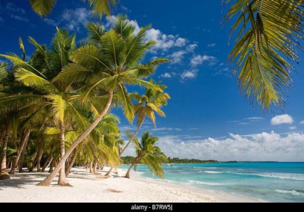 Tropical Blue apartments