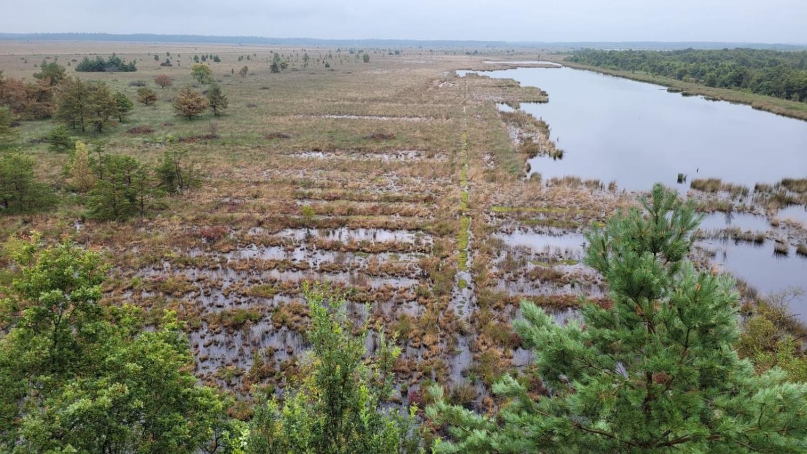 Photo 42