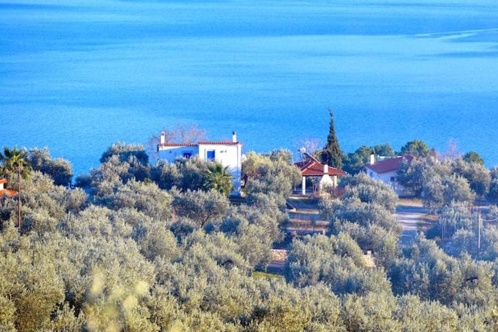 SIX INDEPENDENT HOUSES BY THE sea view 4