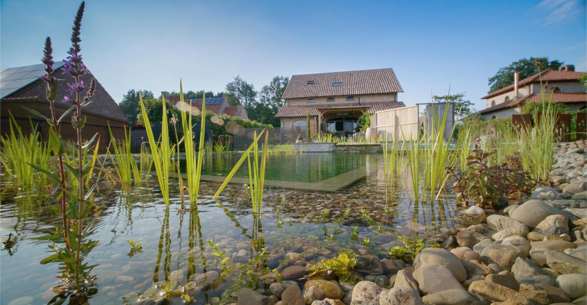 guesthouse Kamiele bij Lavendine Pure