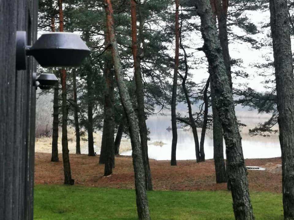 GaujaUpe en Gauja