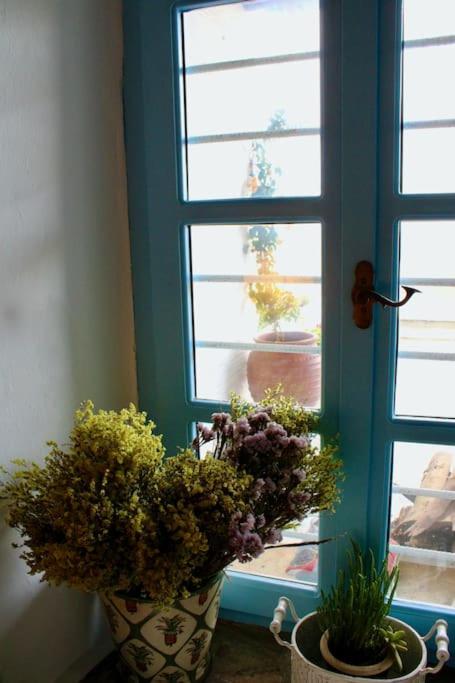 Villa Thimari Andros