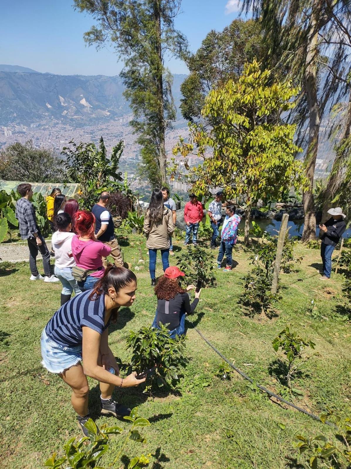 Cabaña Parque Arvi vista panorámica