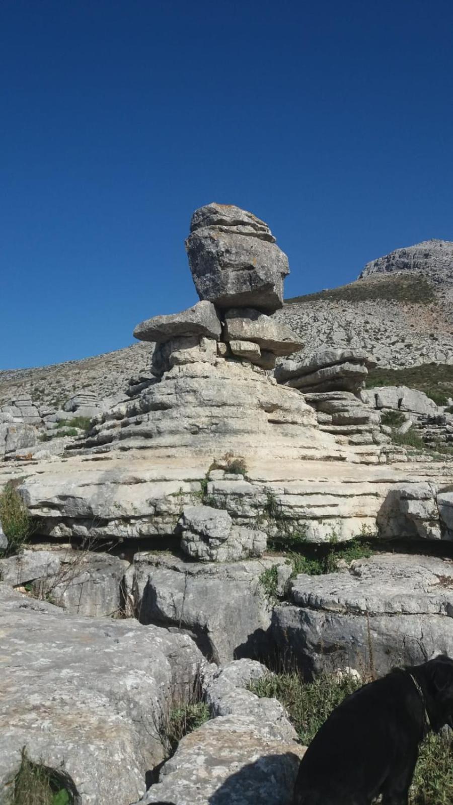 Photo 30