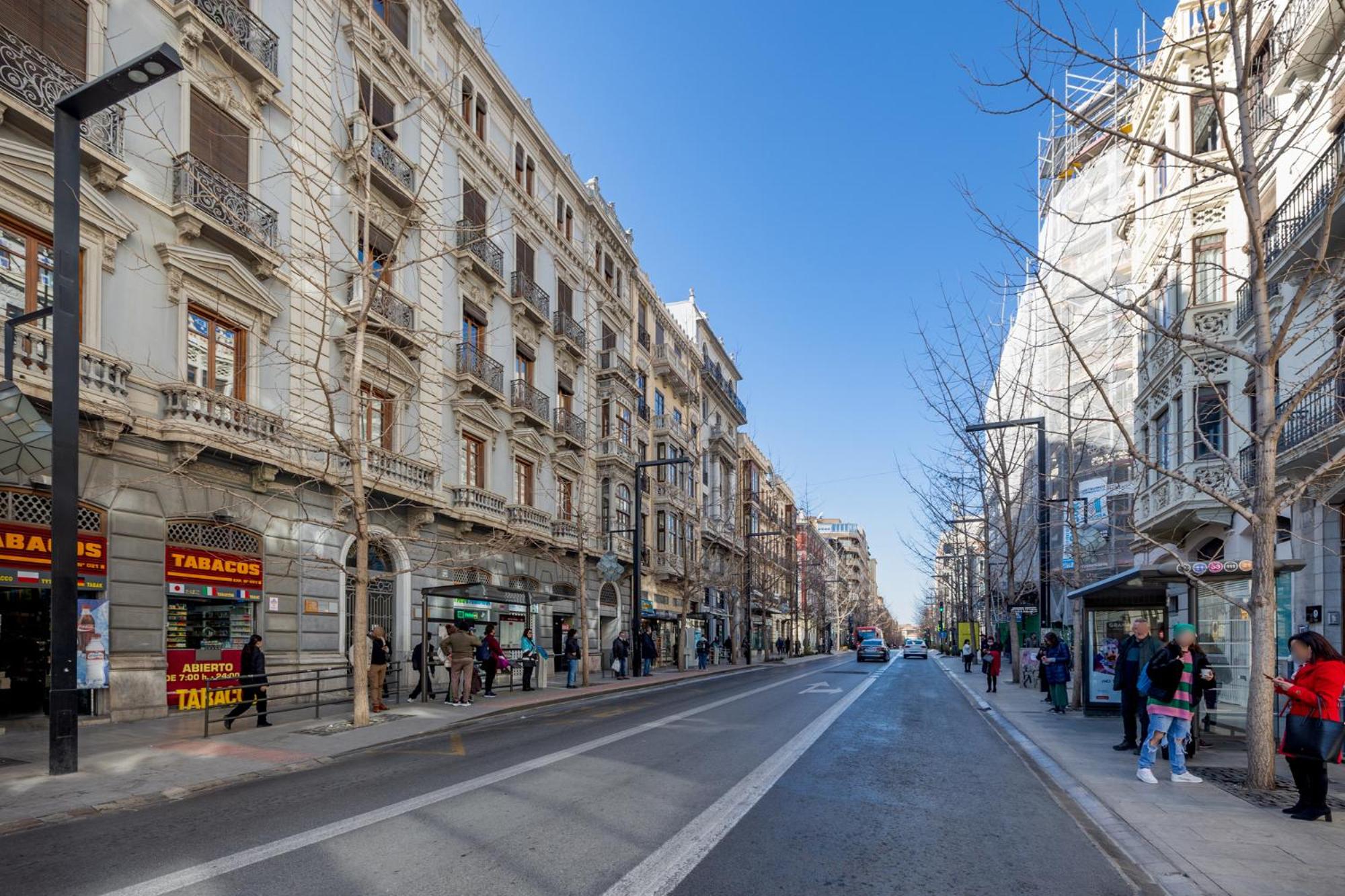Luxury Gran Via Apartments