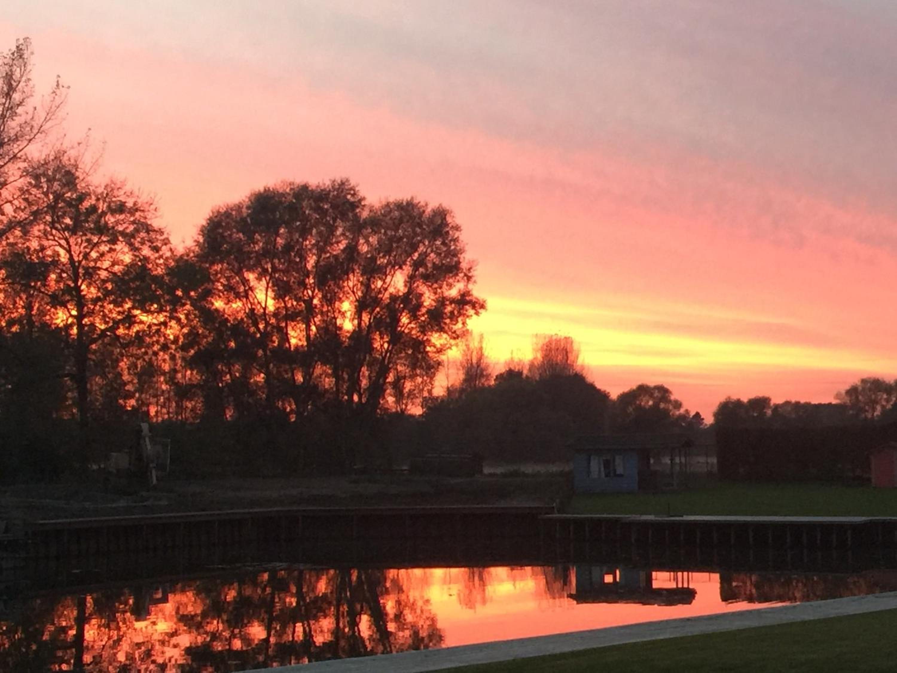 Welkom bij Mario, Een charmante Chalet gelegen aan een vijver in bosrijke omgeving waar je tot rust kan komen.