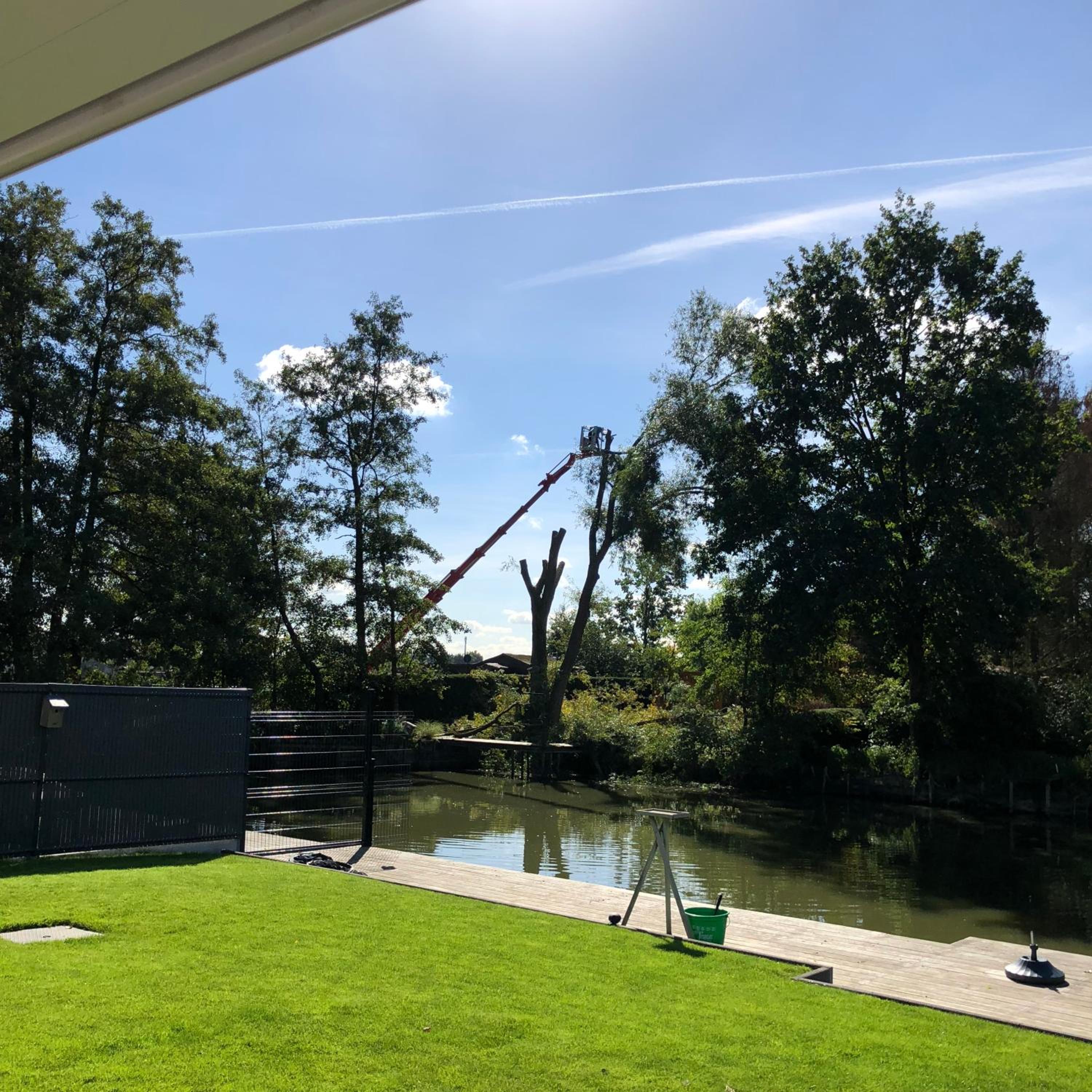 Welkom bij Mario, Een charmante Chalet gelegen aan een vijver in bosrijke omgeving waar je tot rust kan komen.