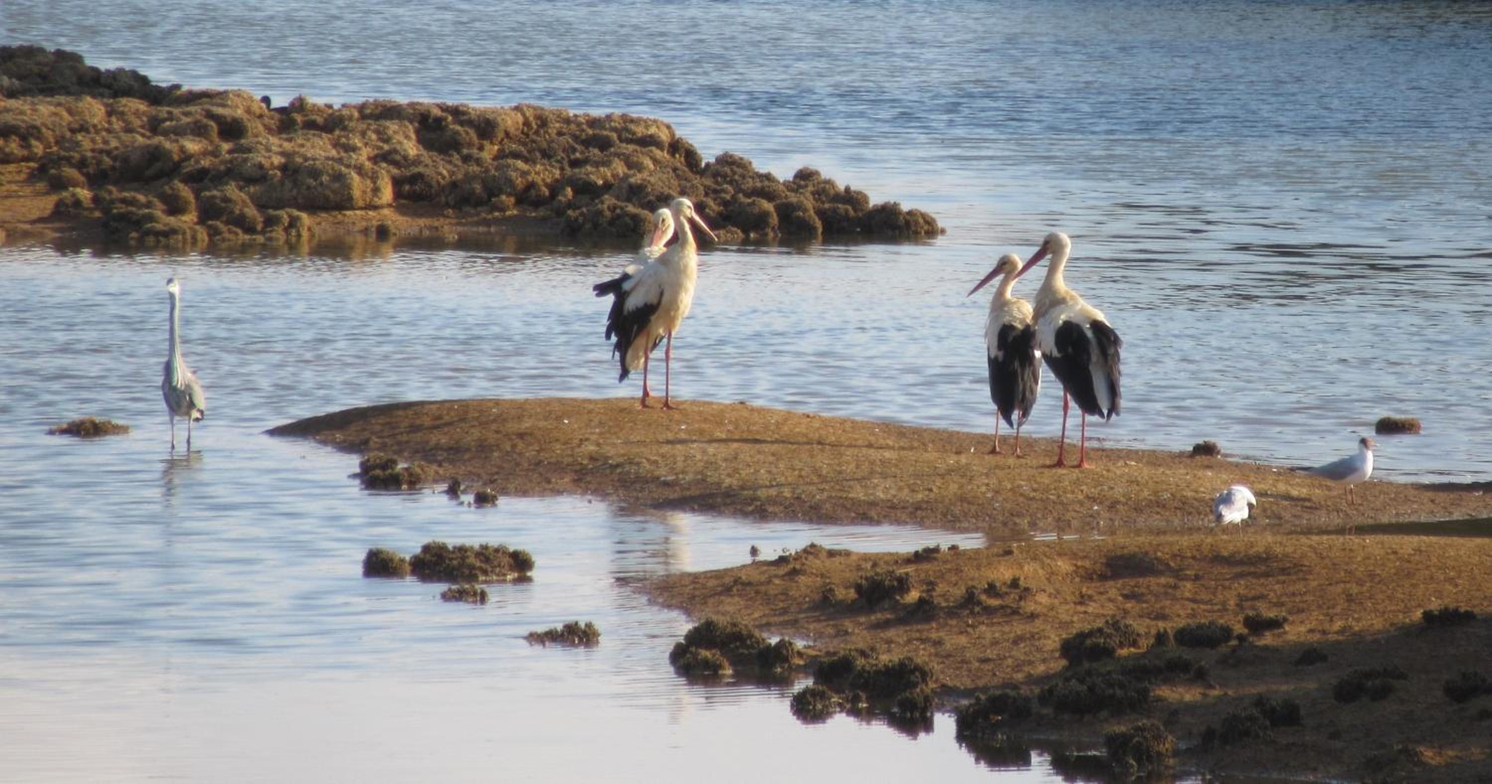 Photo 39