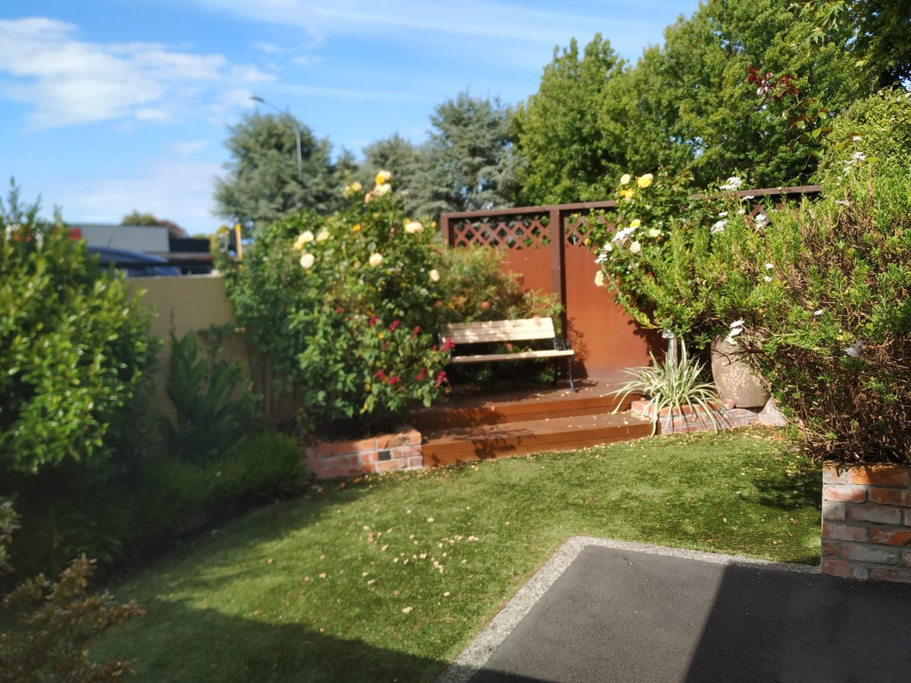 Photo 11