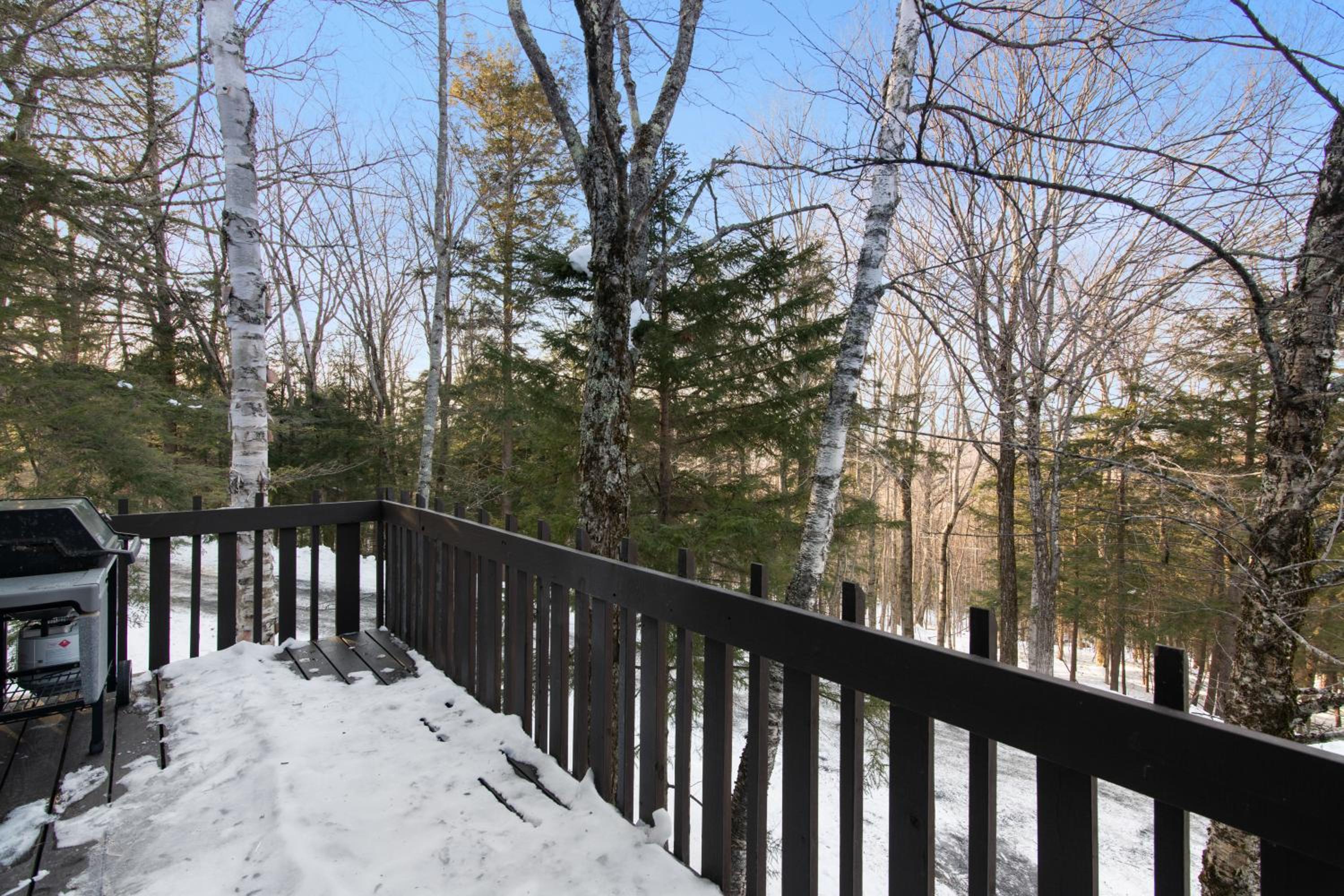 Vermont Getaway! Newly renovated! view 2