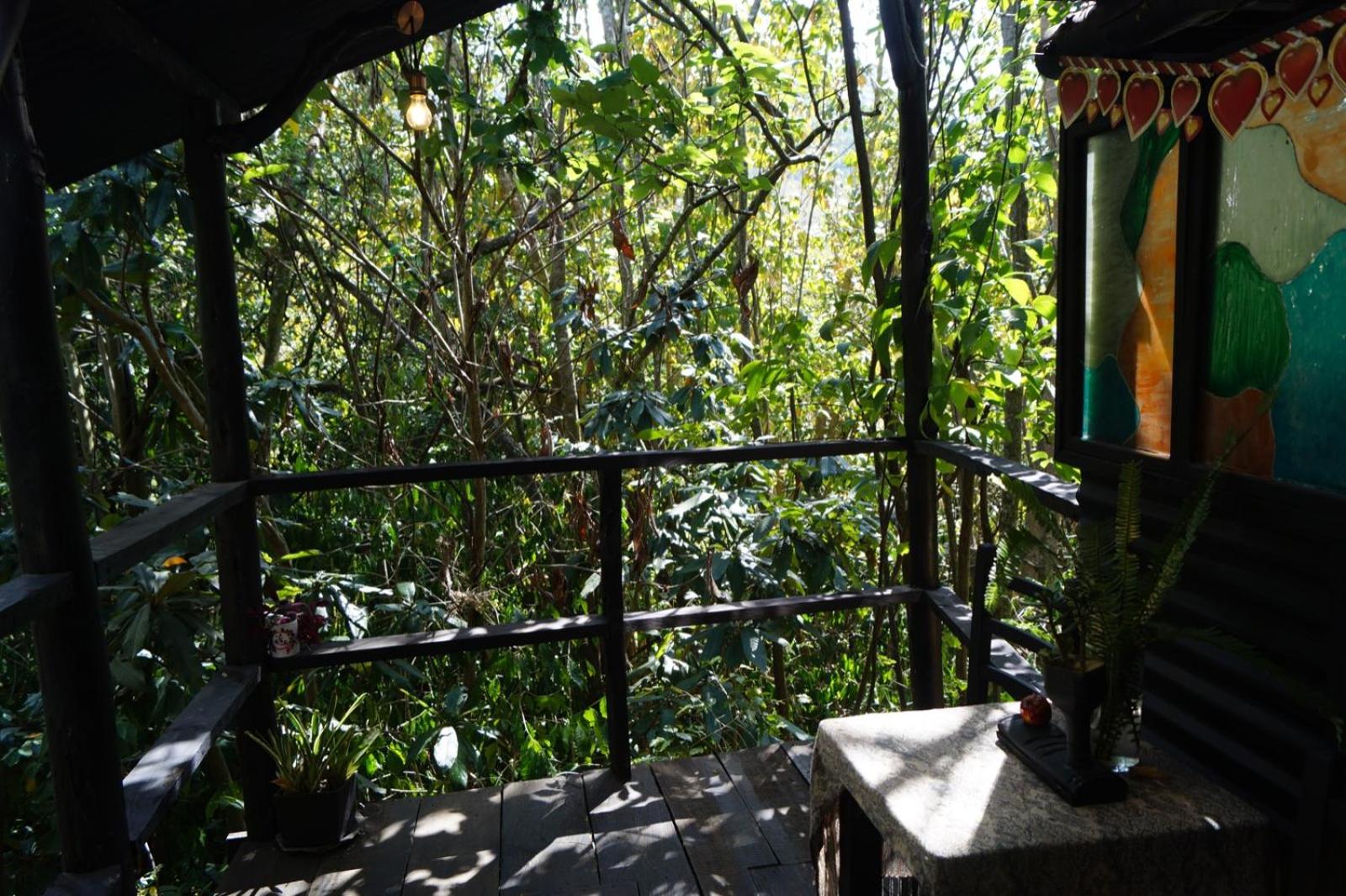 Skale Peregrino view 2