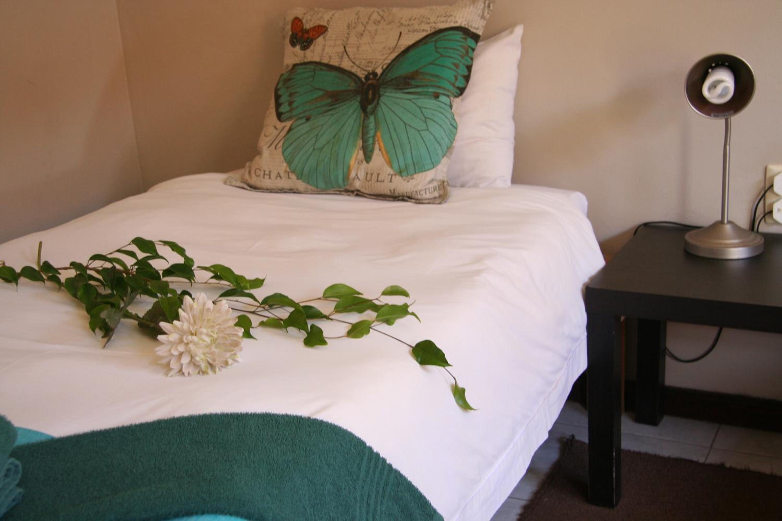 Dunedin Star Guesthouse