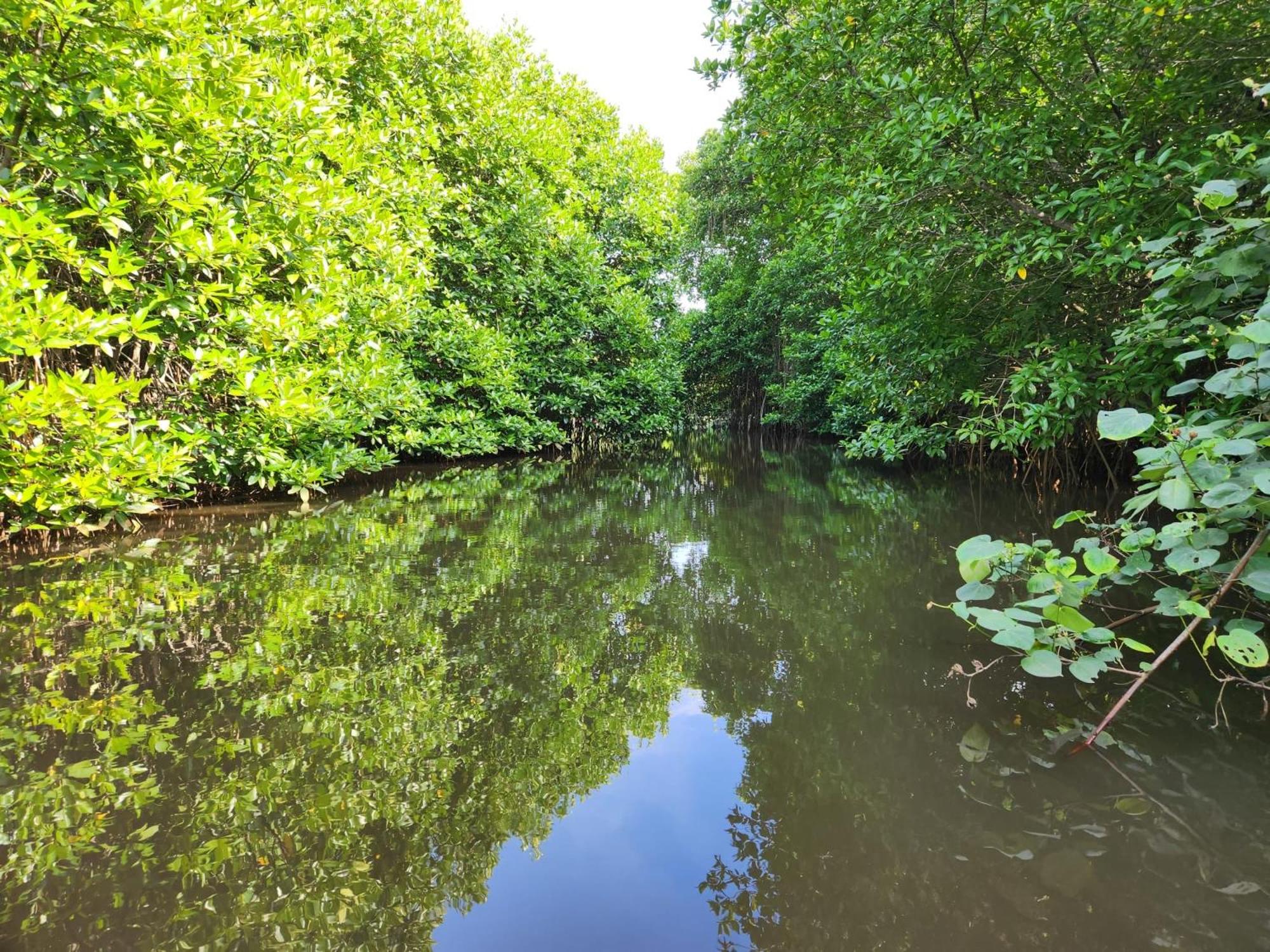 River experience unawatuna view 5