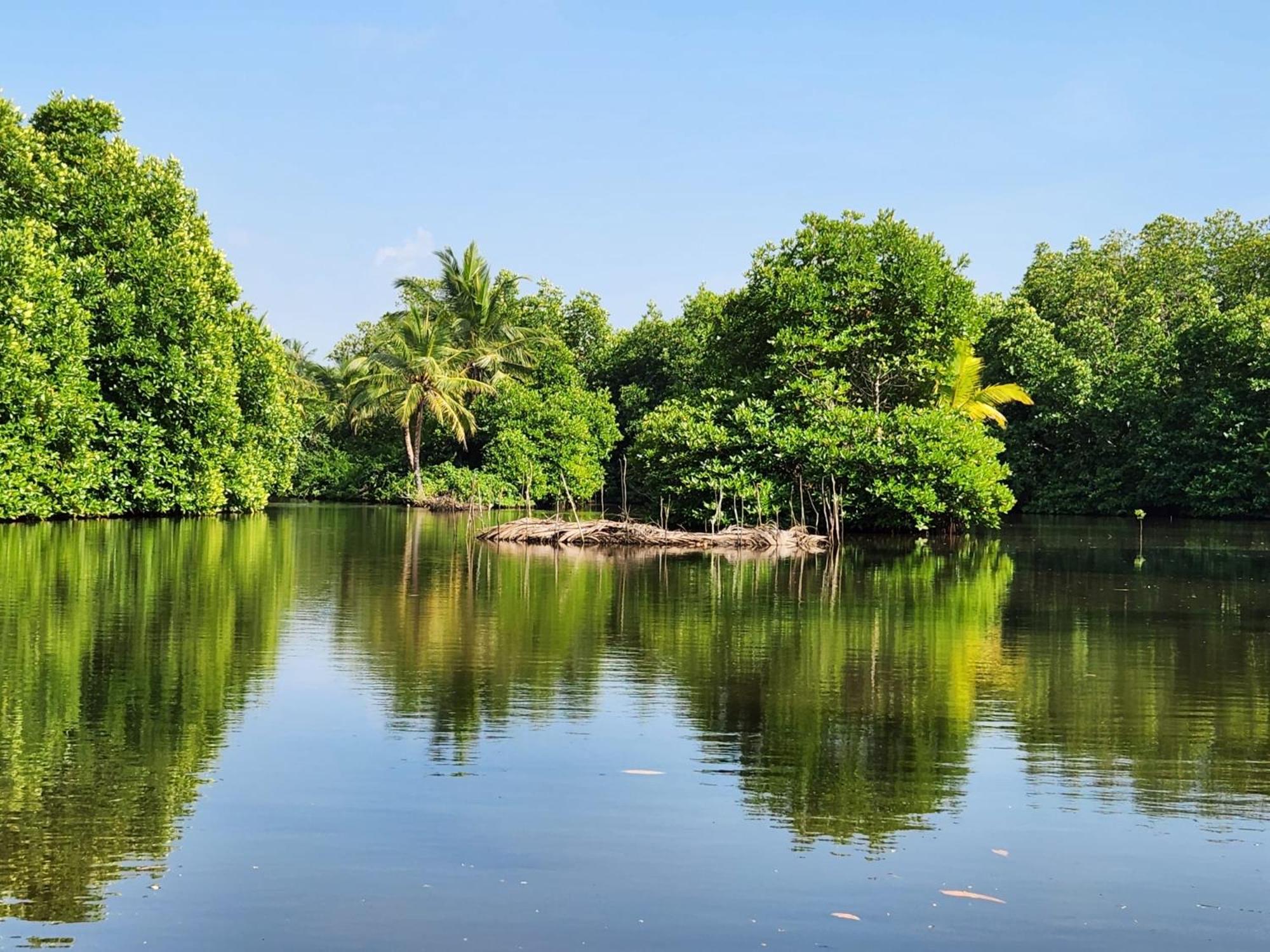 River experience unawatuna view 4