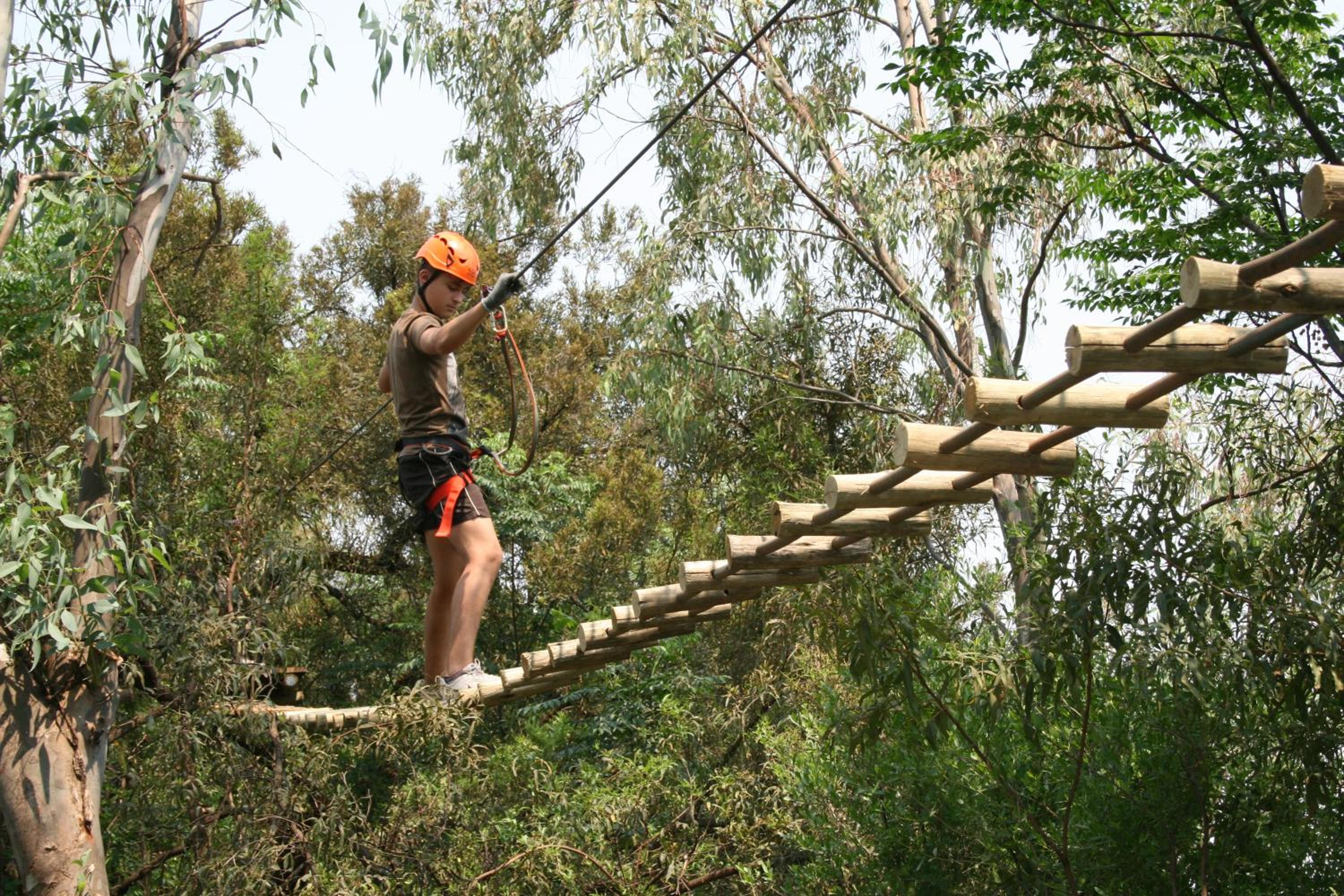 Hollybrooke Adventure Farm