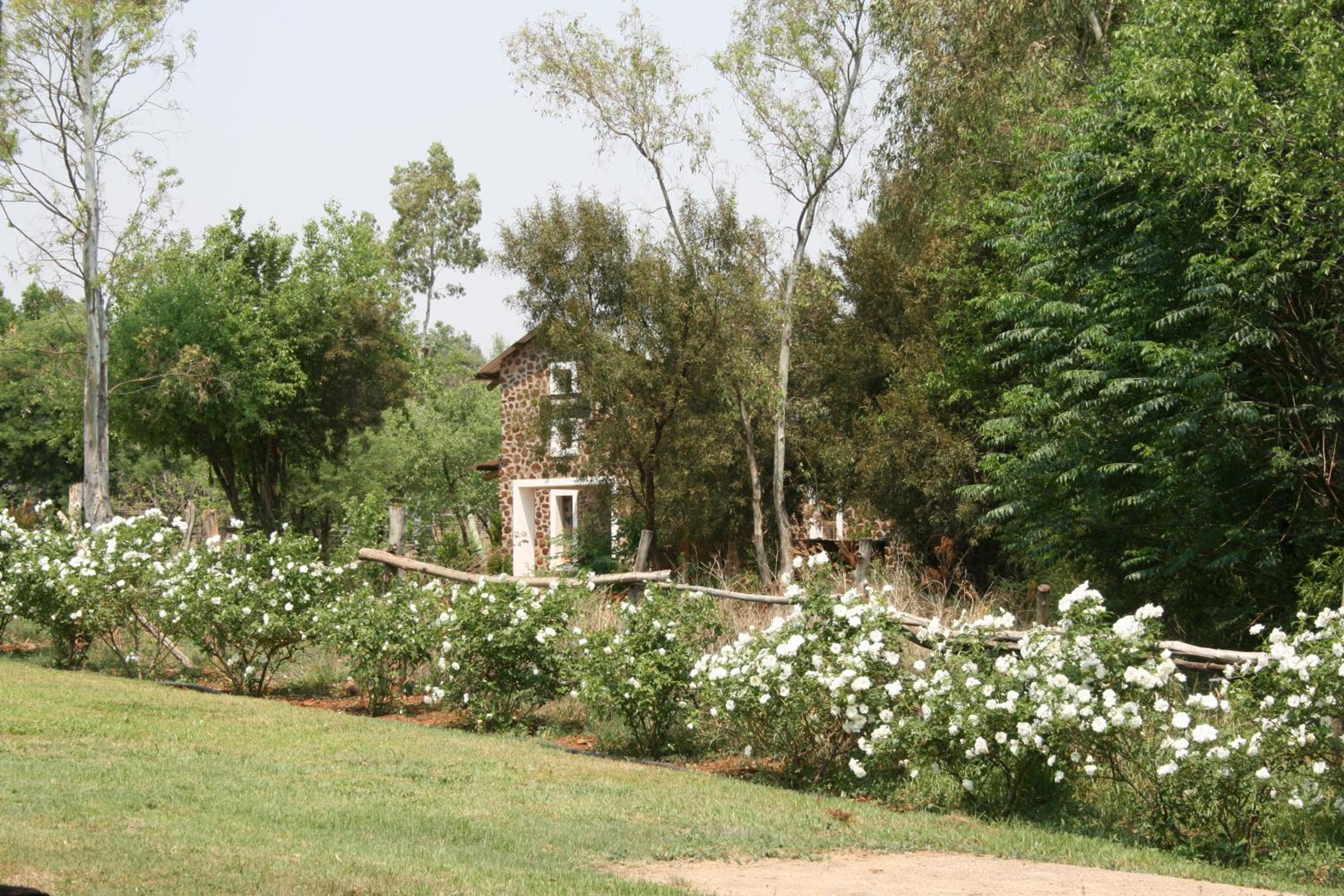 Hollybrooke Adventure Farm