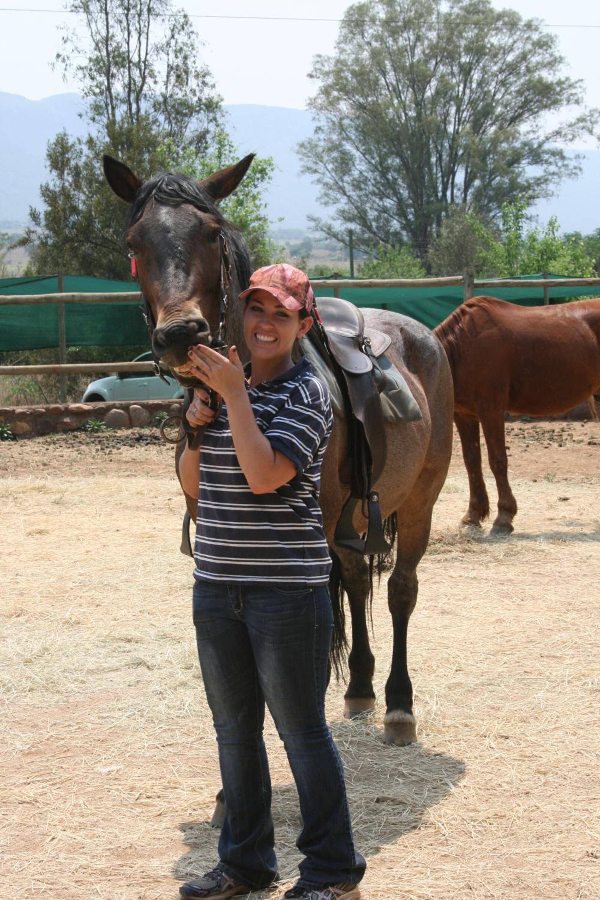 Hollybrooke Adventure Farm