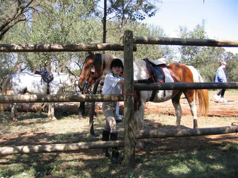 Hollybrooke Adventure Farm