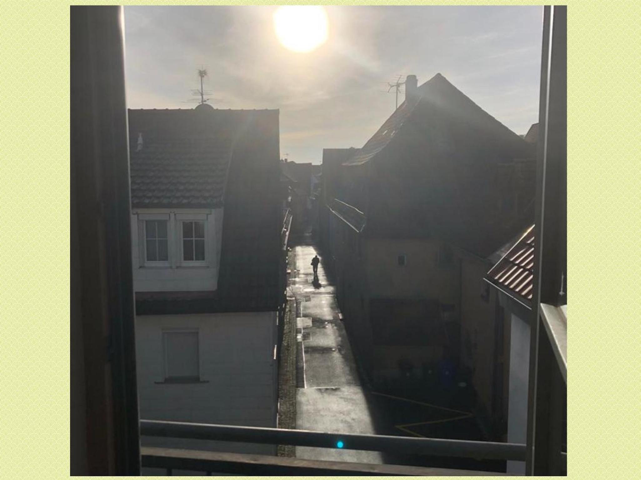Ferienwohnung Mainidylle