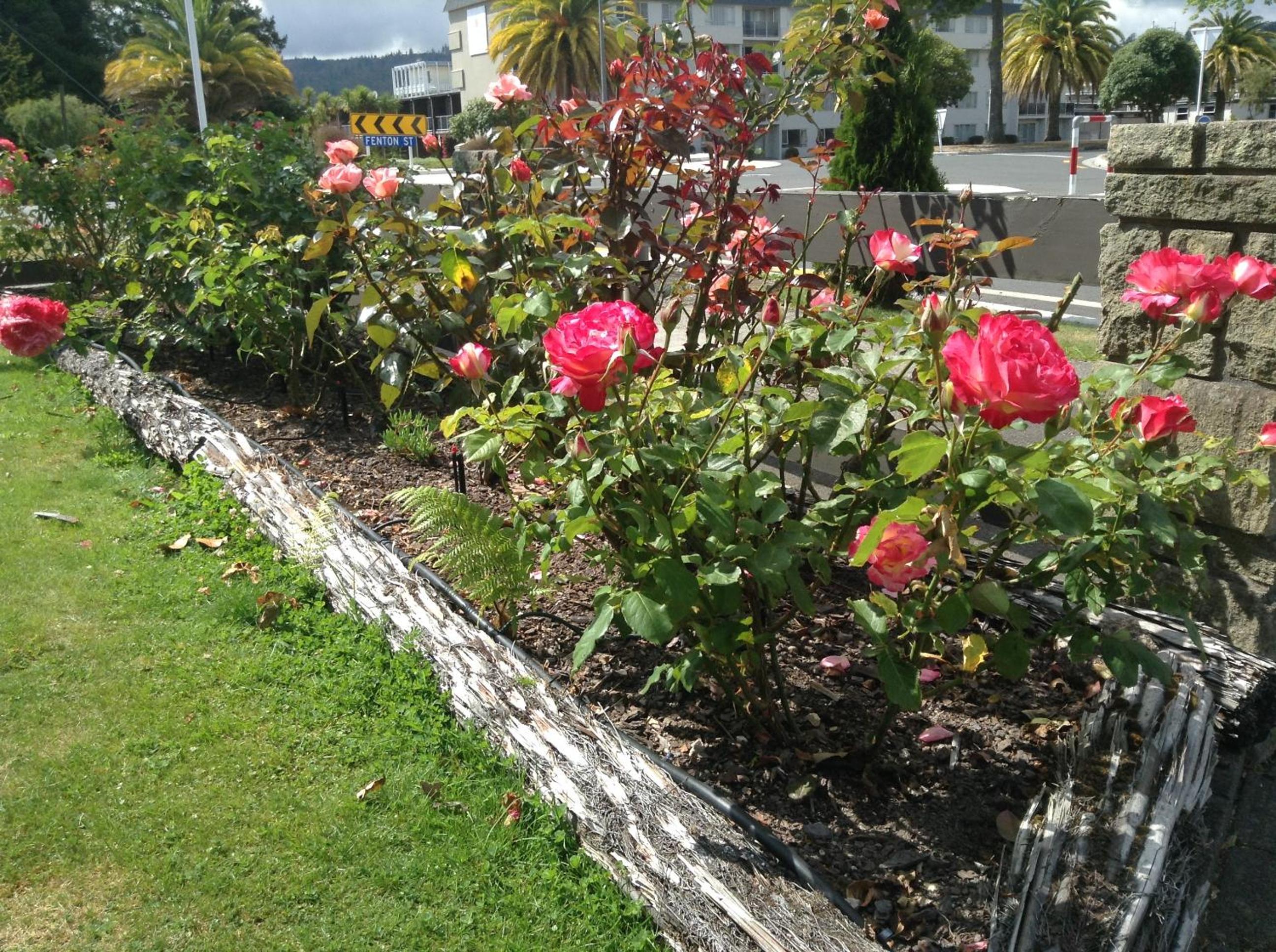 Rose Court Motel