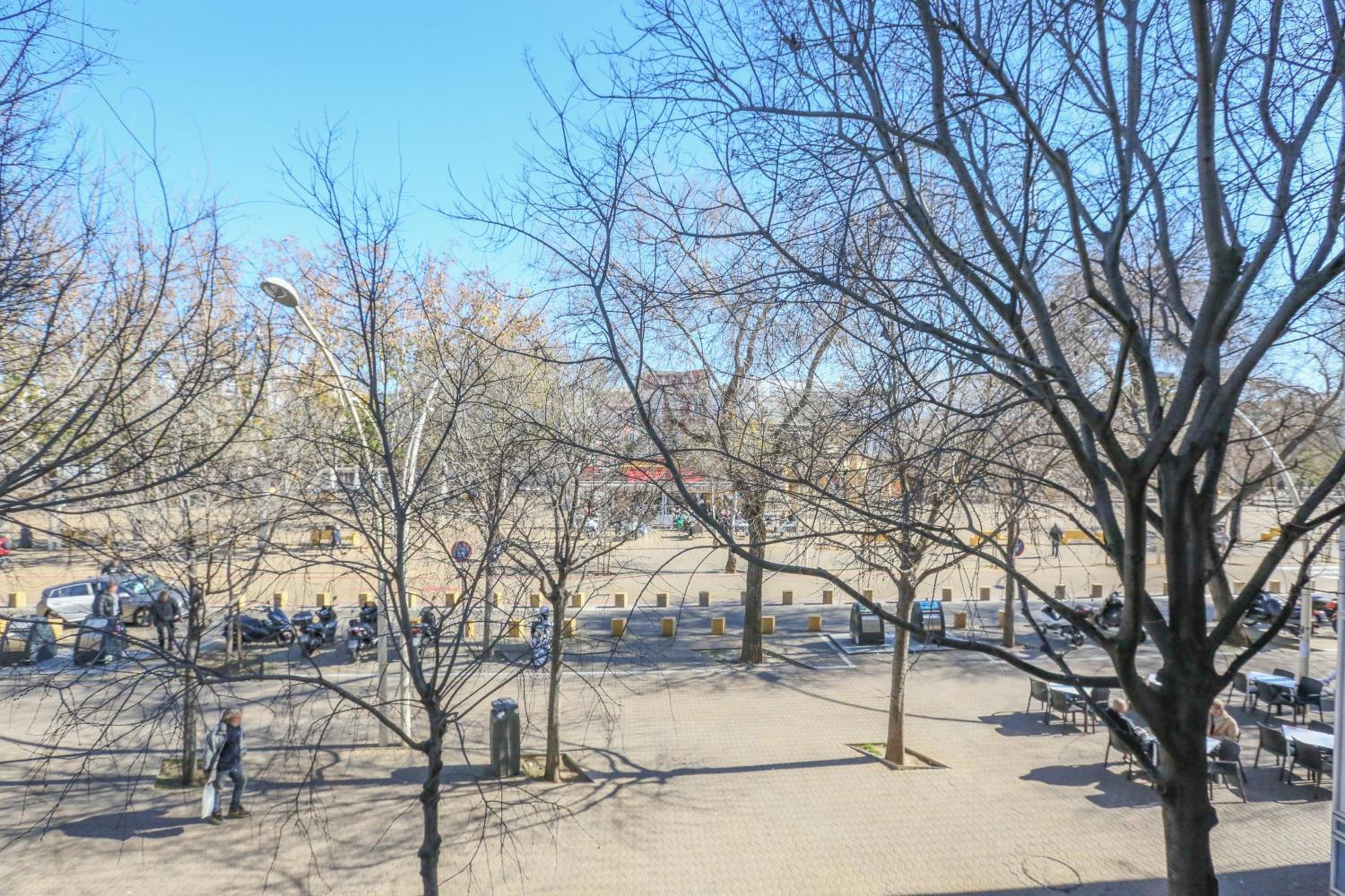 Alameda de Hercules