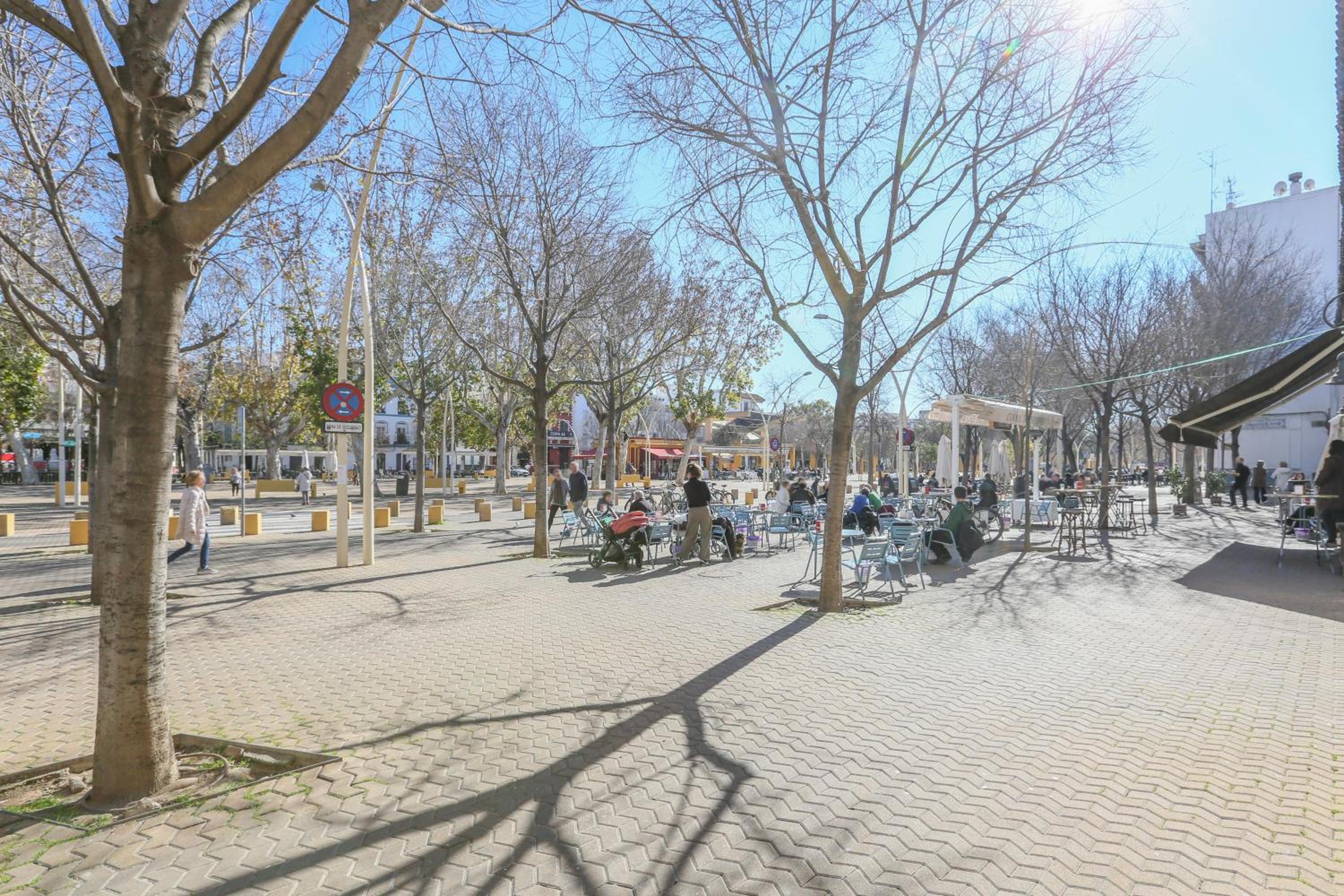 Alameda de Hercules