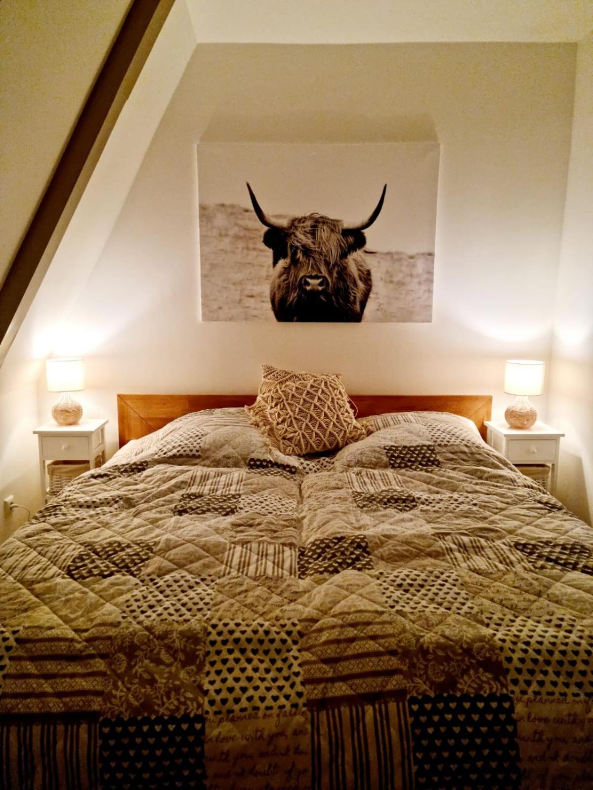 Haus Viking