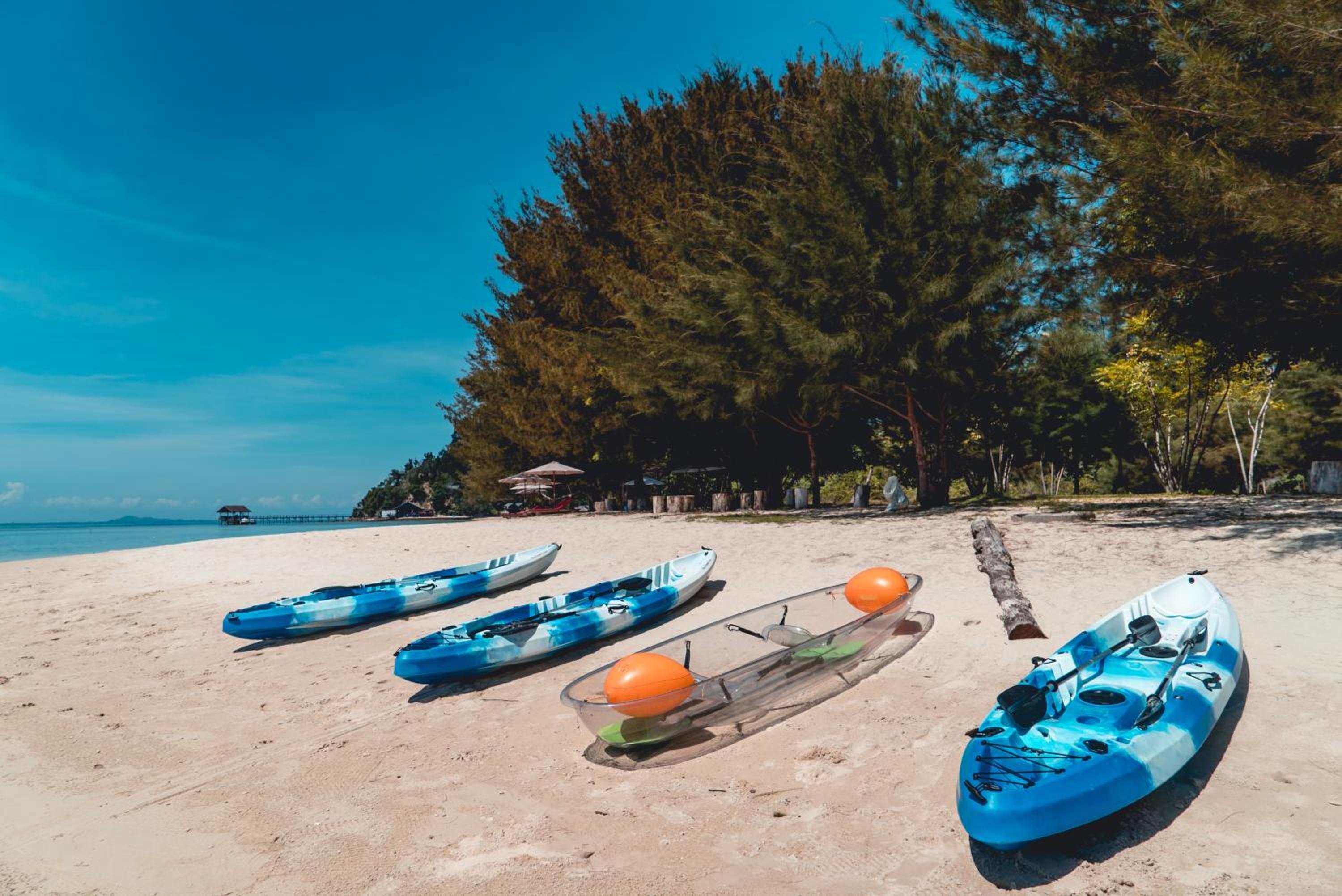 Ara Dinawan Island Resort photo 5