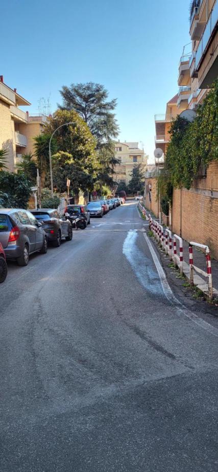 Ben Ti Voglio al Vaticano photo 2