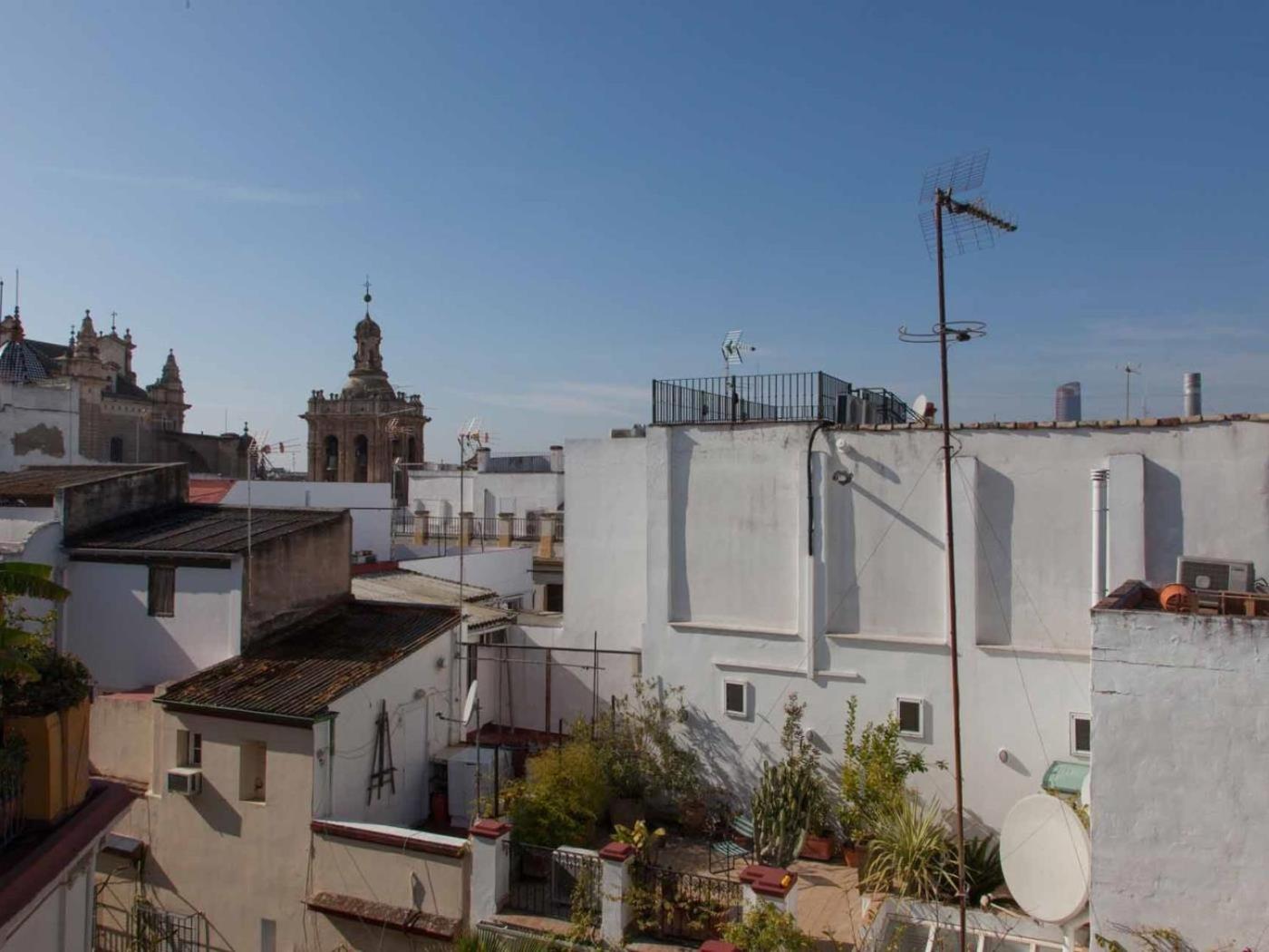 roof