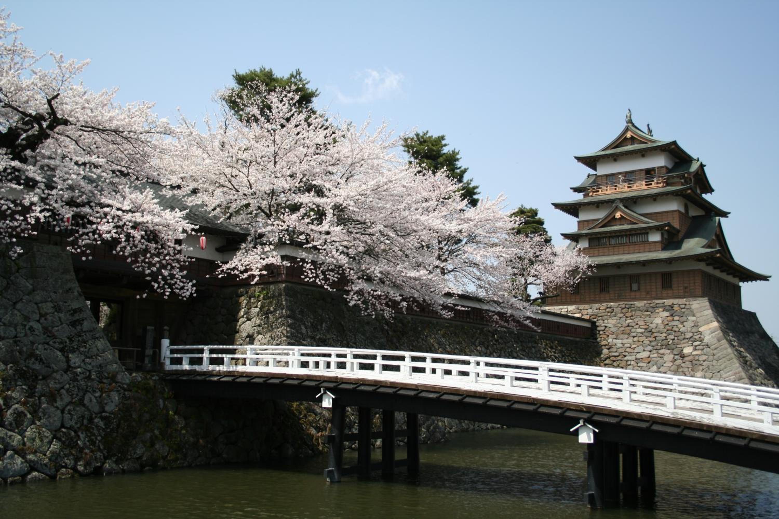 Rako Hananoi Hotel