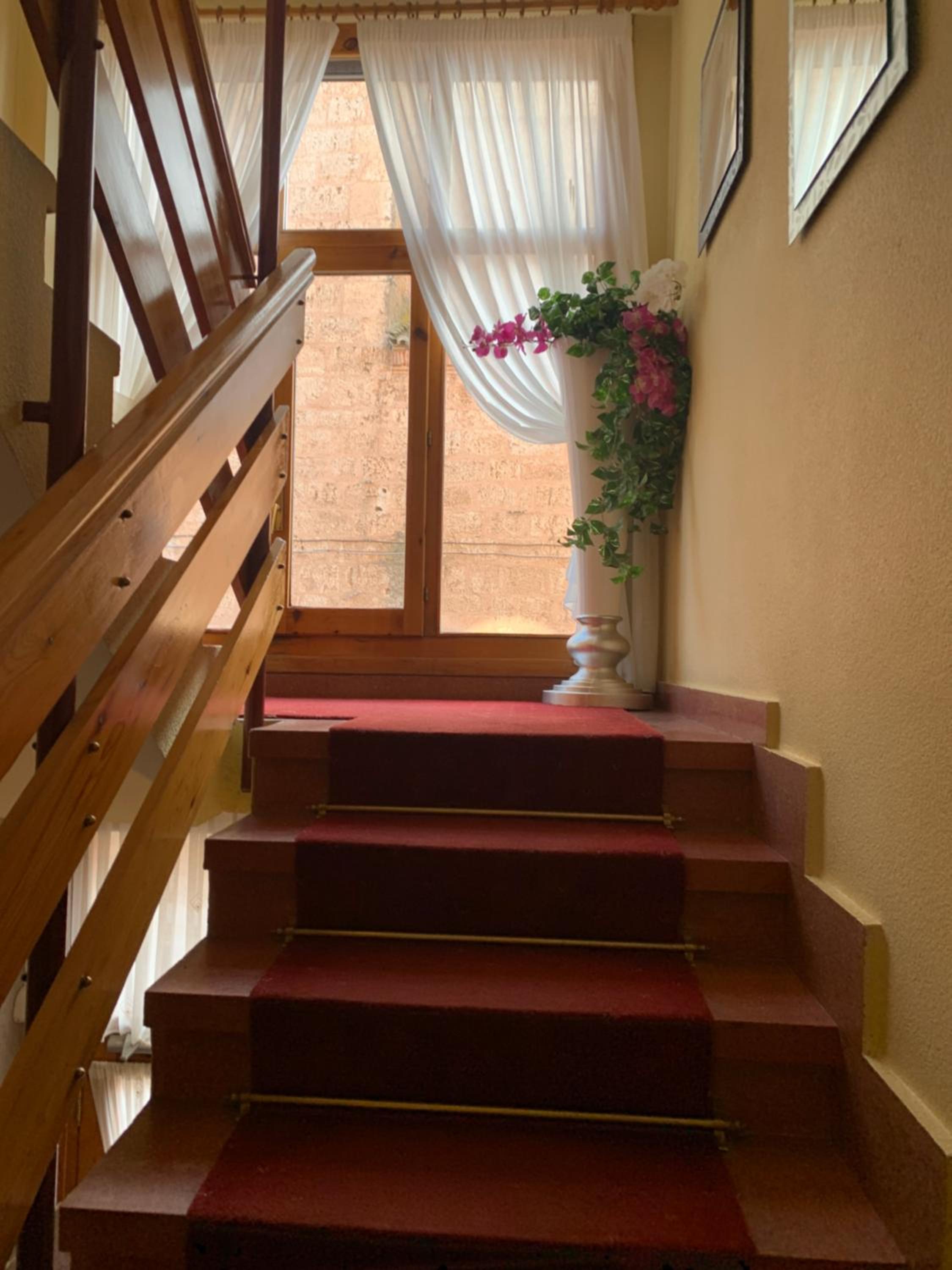 Hostal Docar
