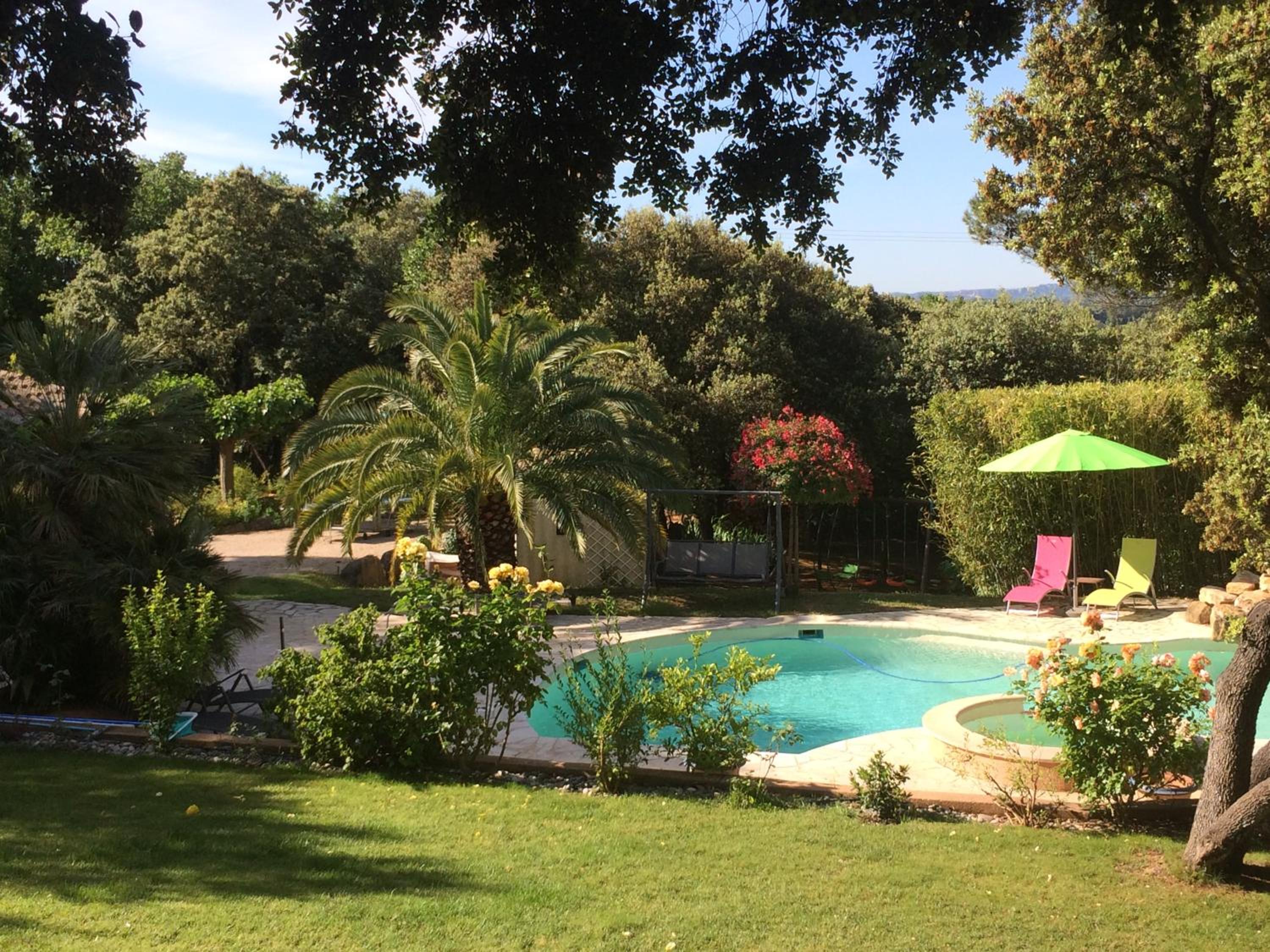 Santolines en Provence photo 4