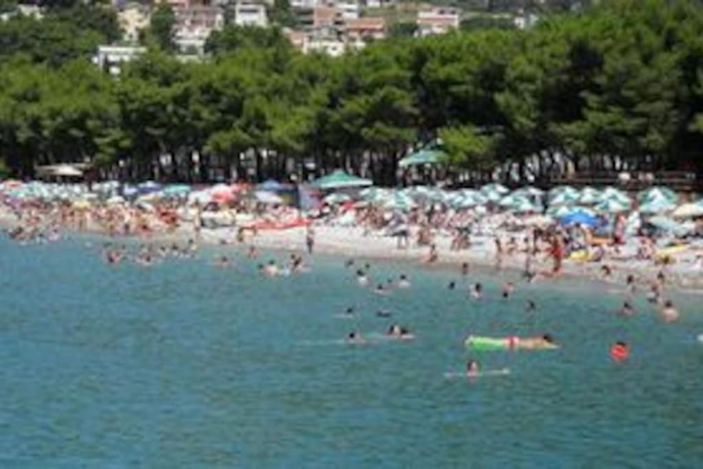 Villa Milicevic