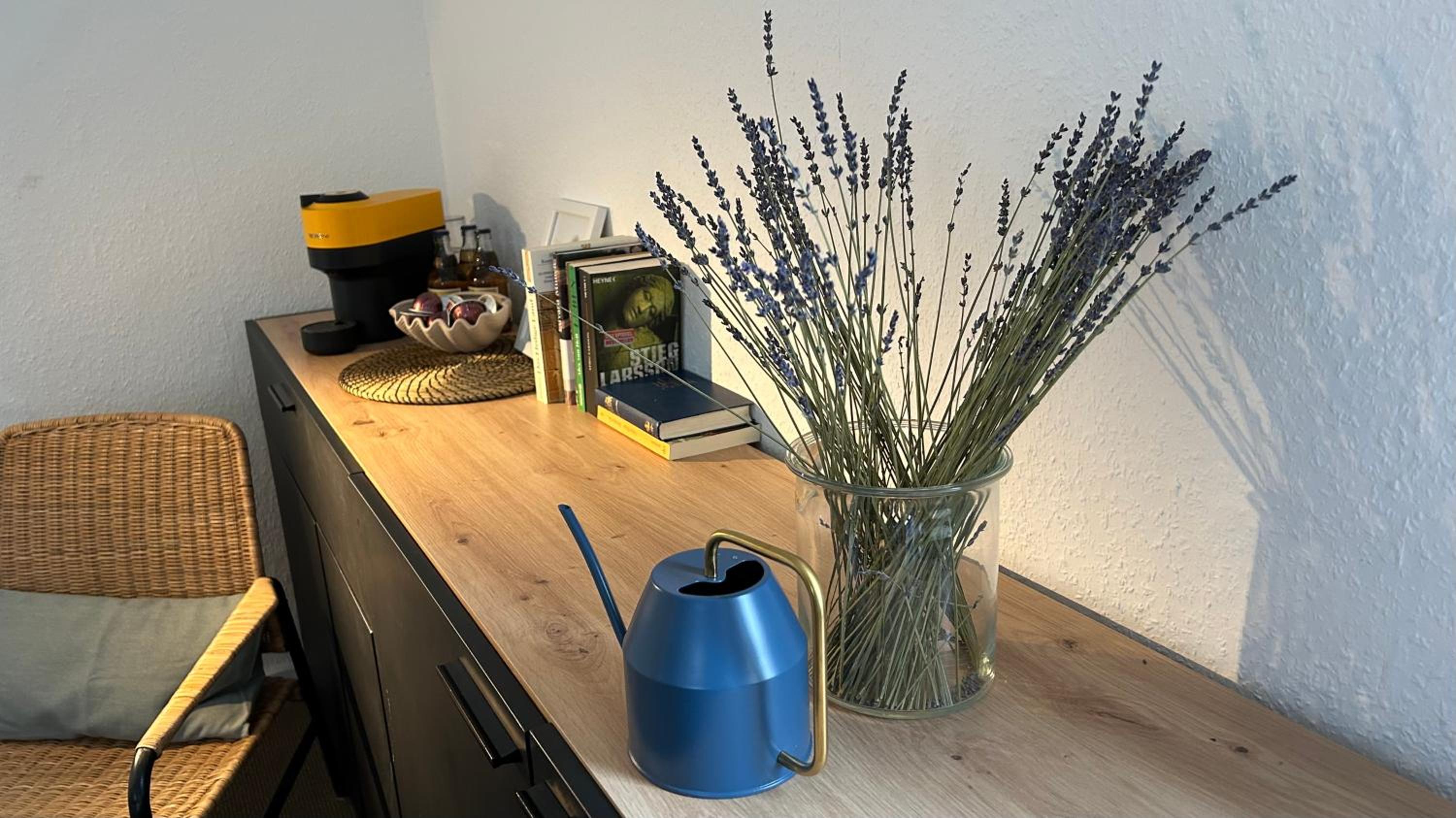 Gemütliches Apartment